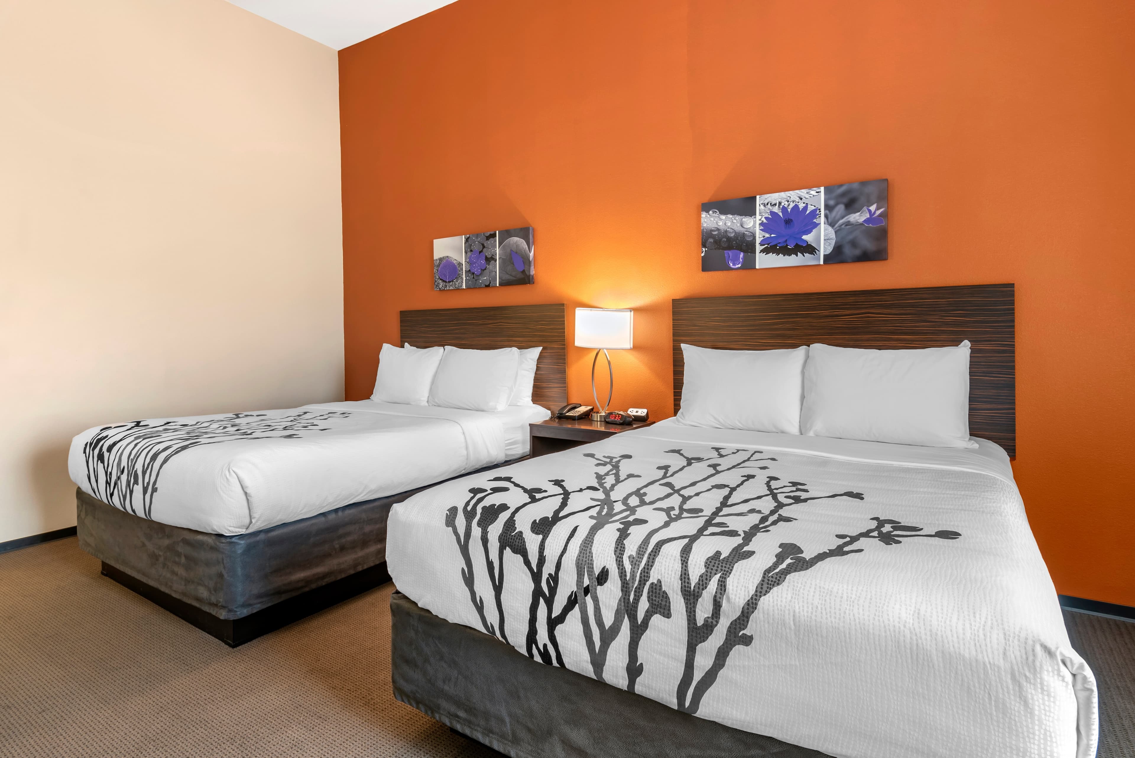 Sleep Inn & Suites Moab near Arches National Park — 12