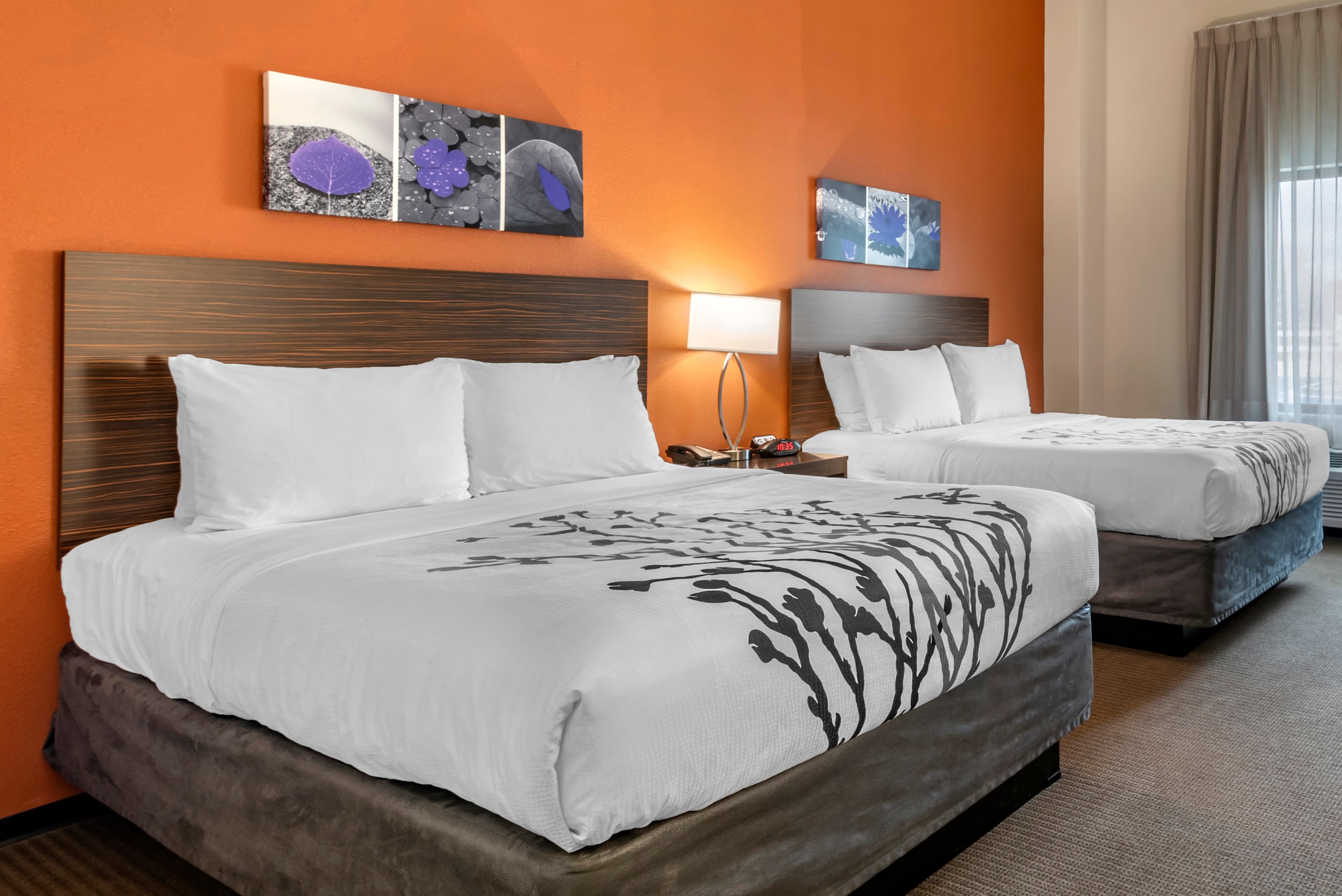 Sleep Inn & Suites Moab near Arches National Park — 13