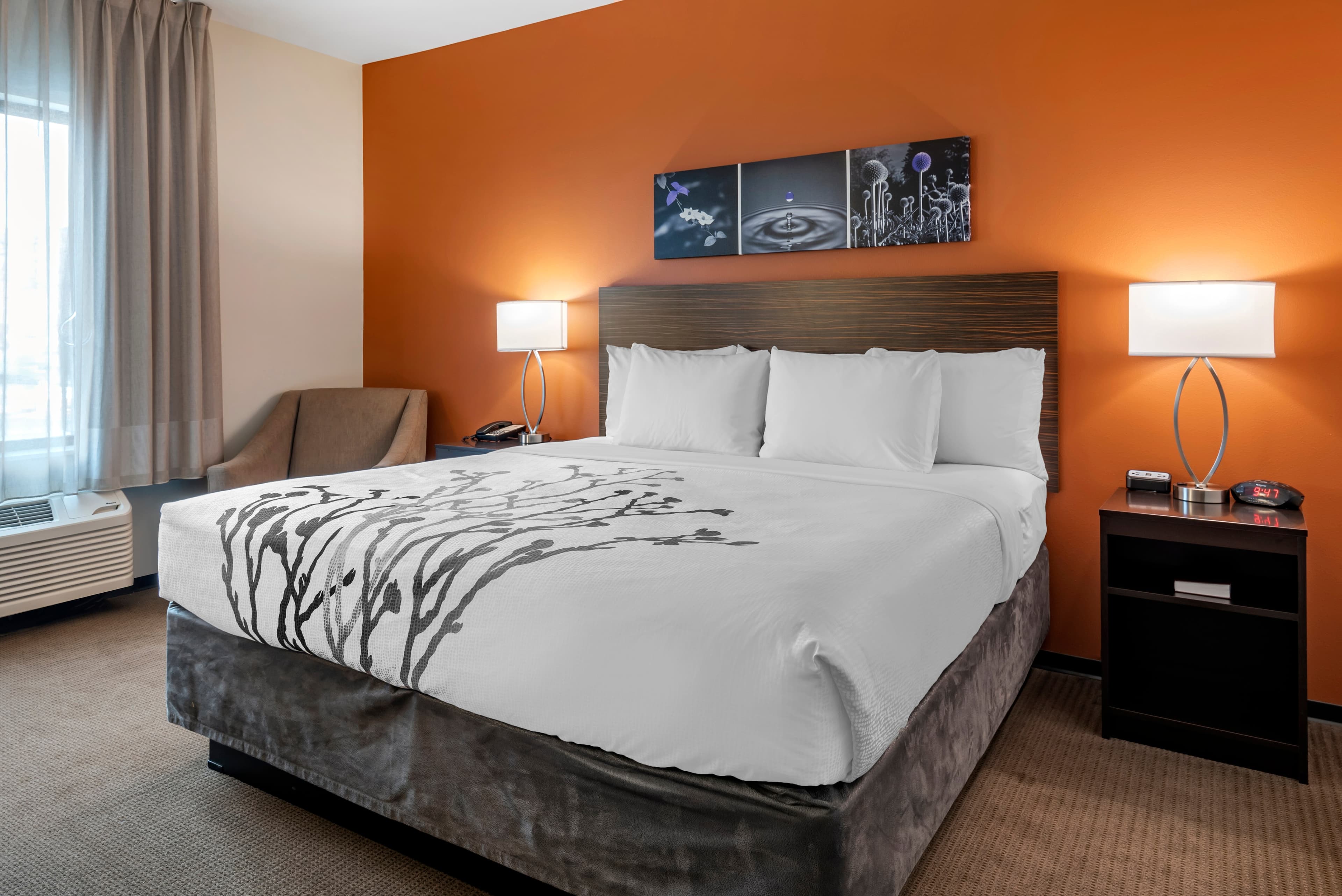 Sleep Inn & Suites Moab near Arches National Park — 15