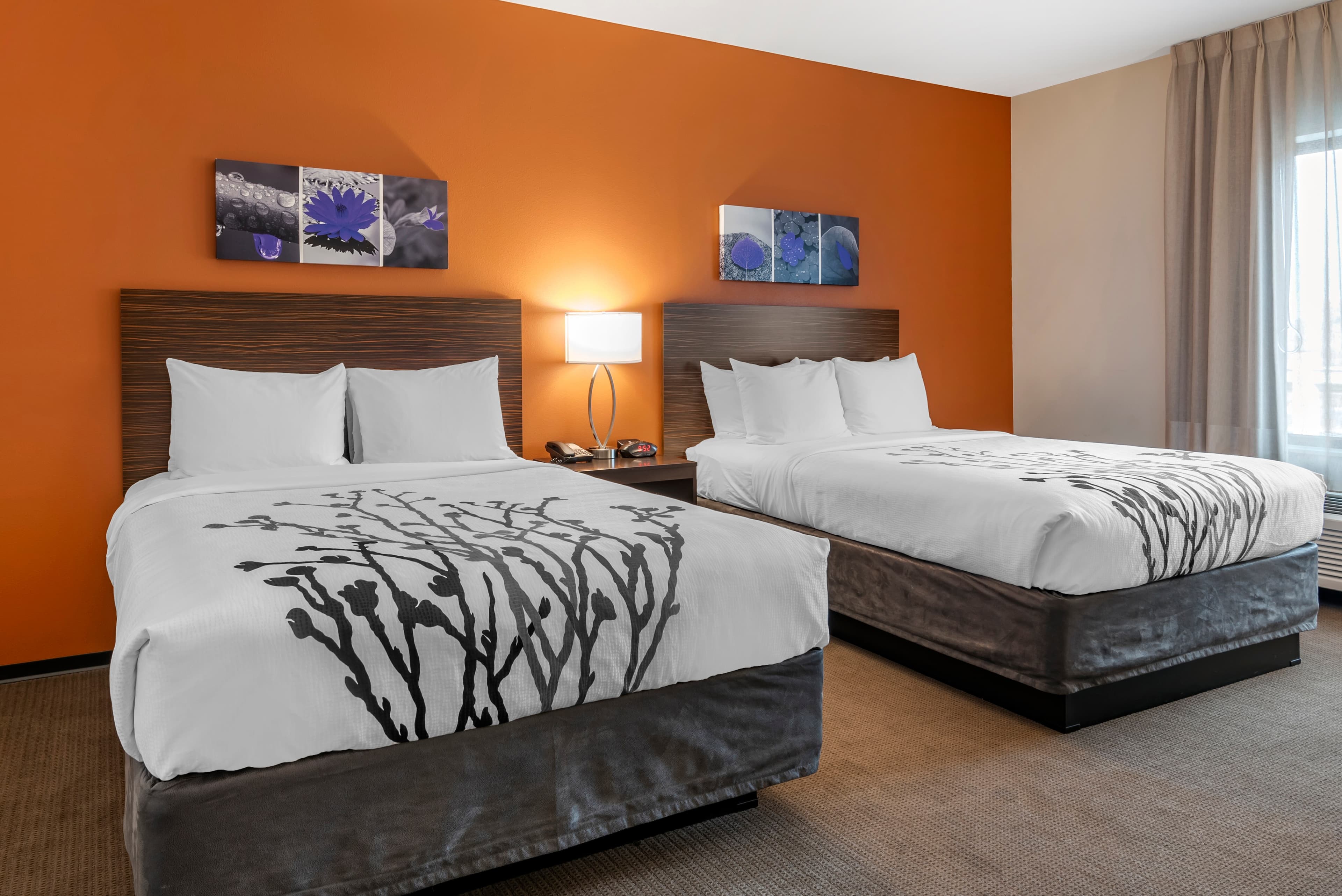 Sleep Inn & Suites Moab near Arches National Park — 16
