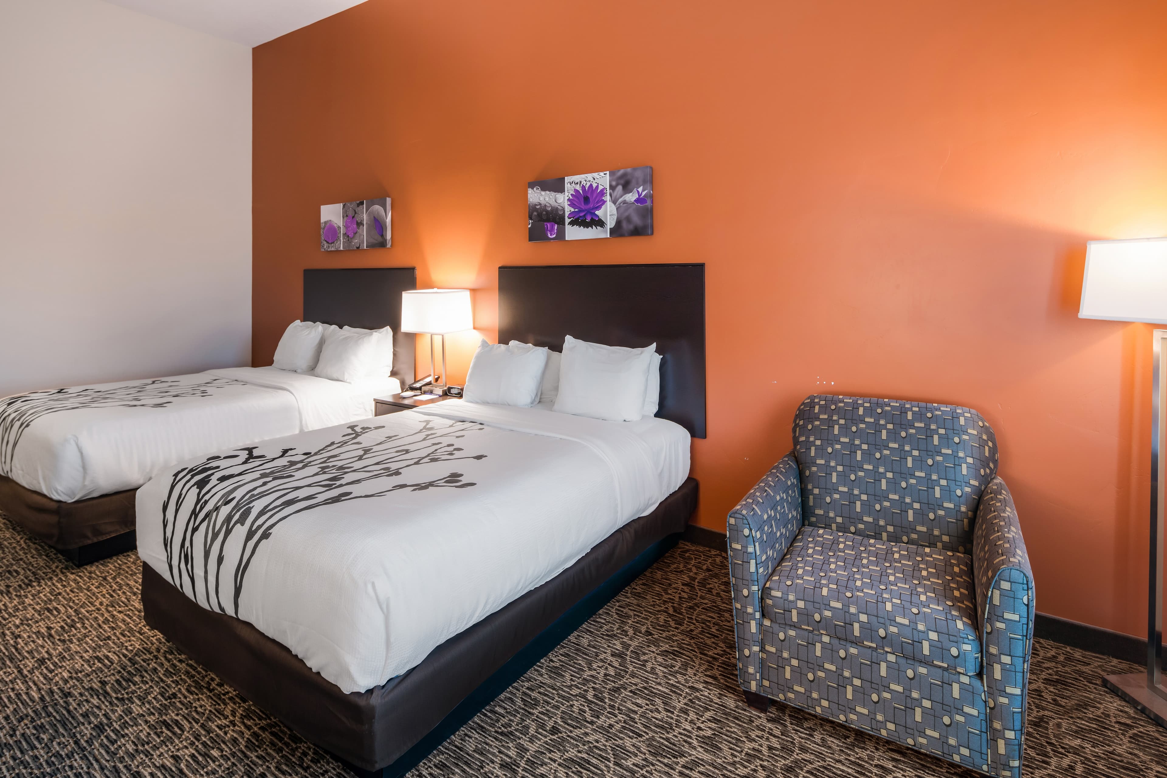 Sleep Inn & Suites Hurricane Zion Park Area — 6