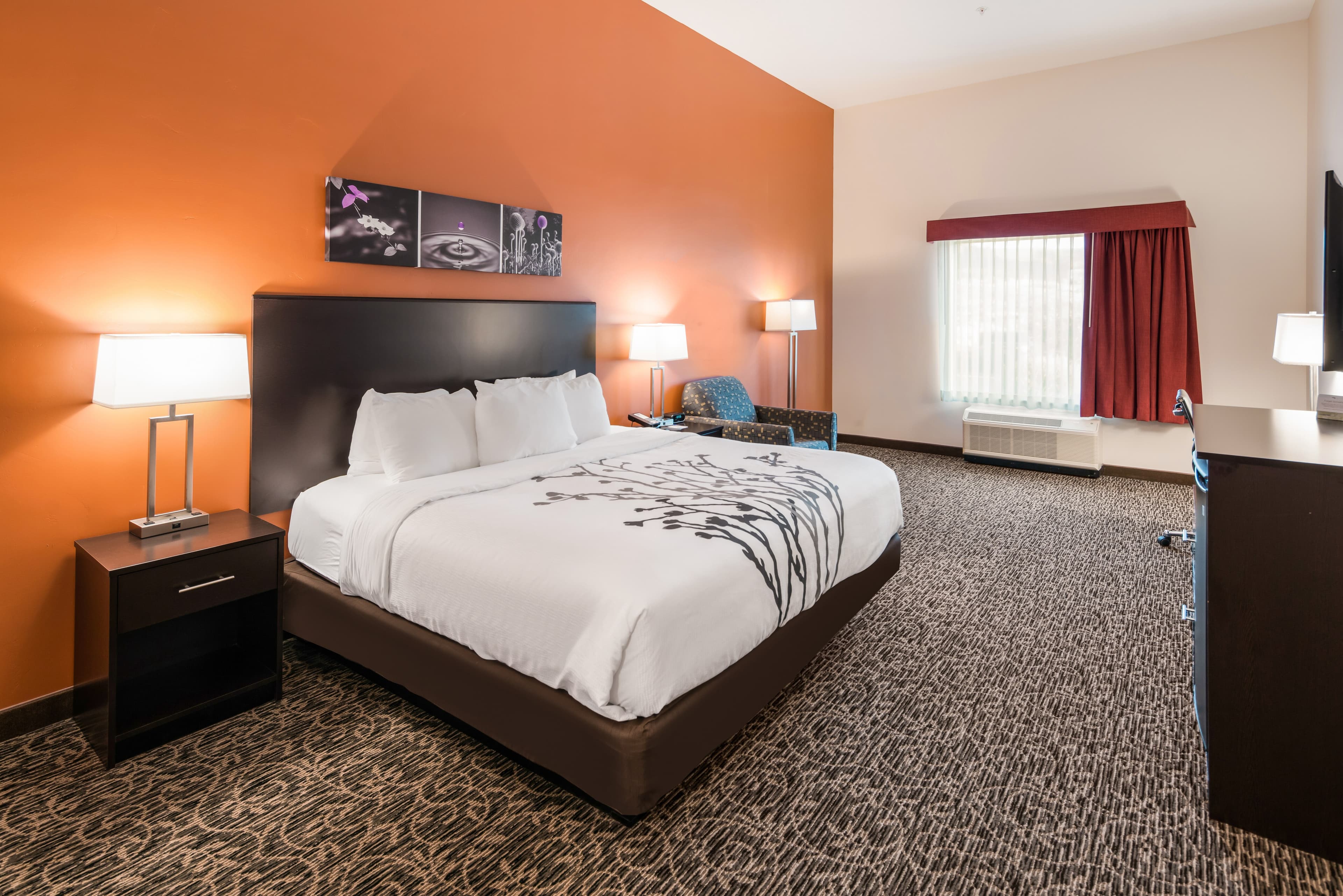 Sleep Inn & Suites Hurricane Zion Park Area — 10