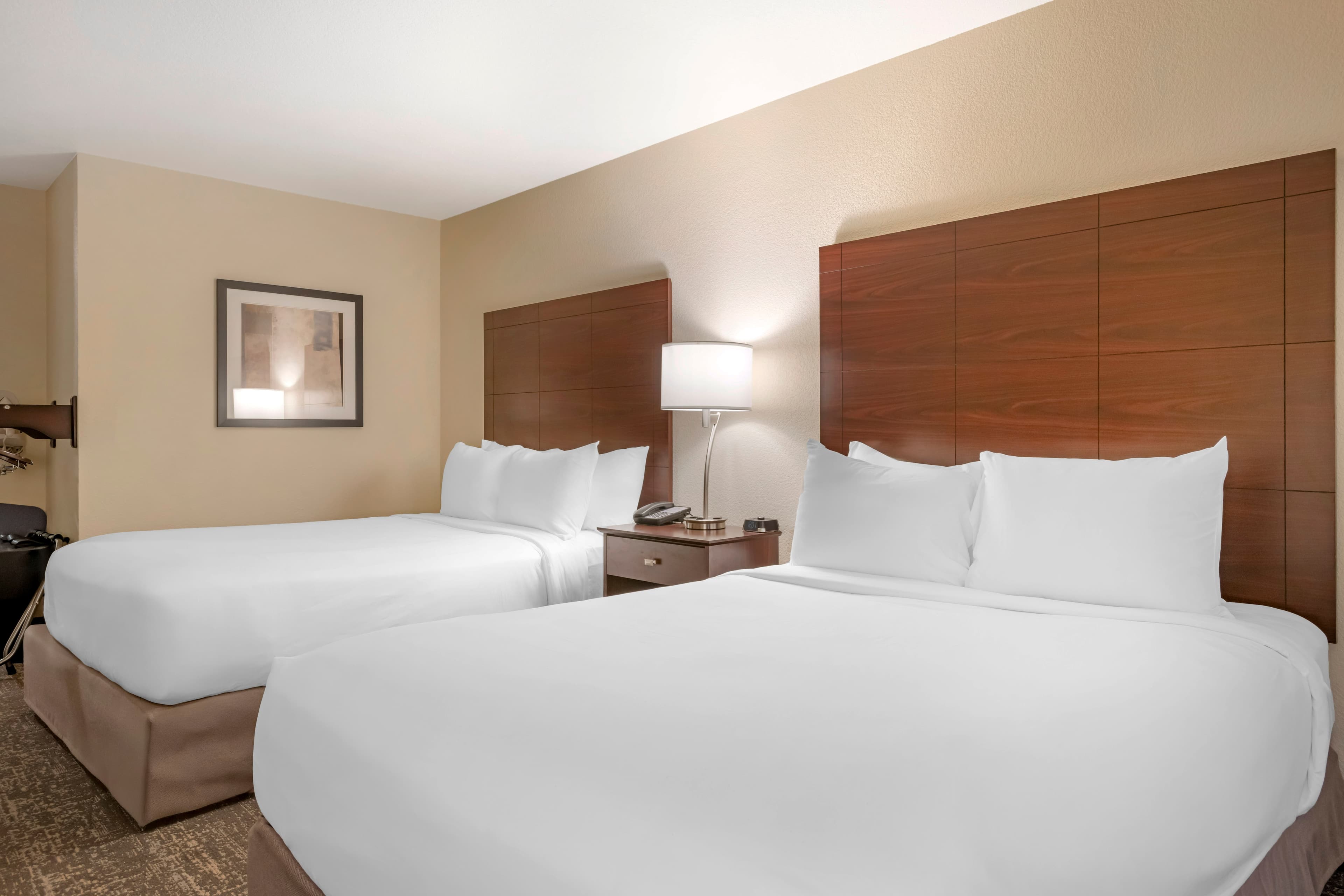 Comfort Inn & Suites Morgan - South Ogden — 30