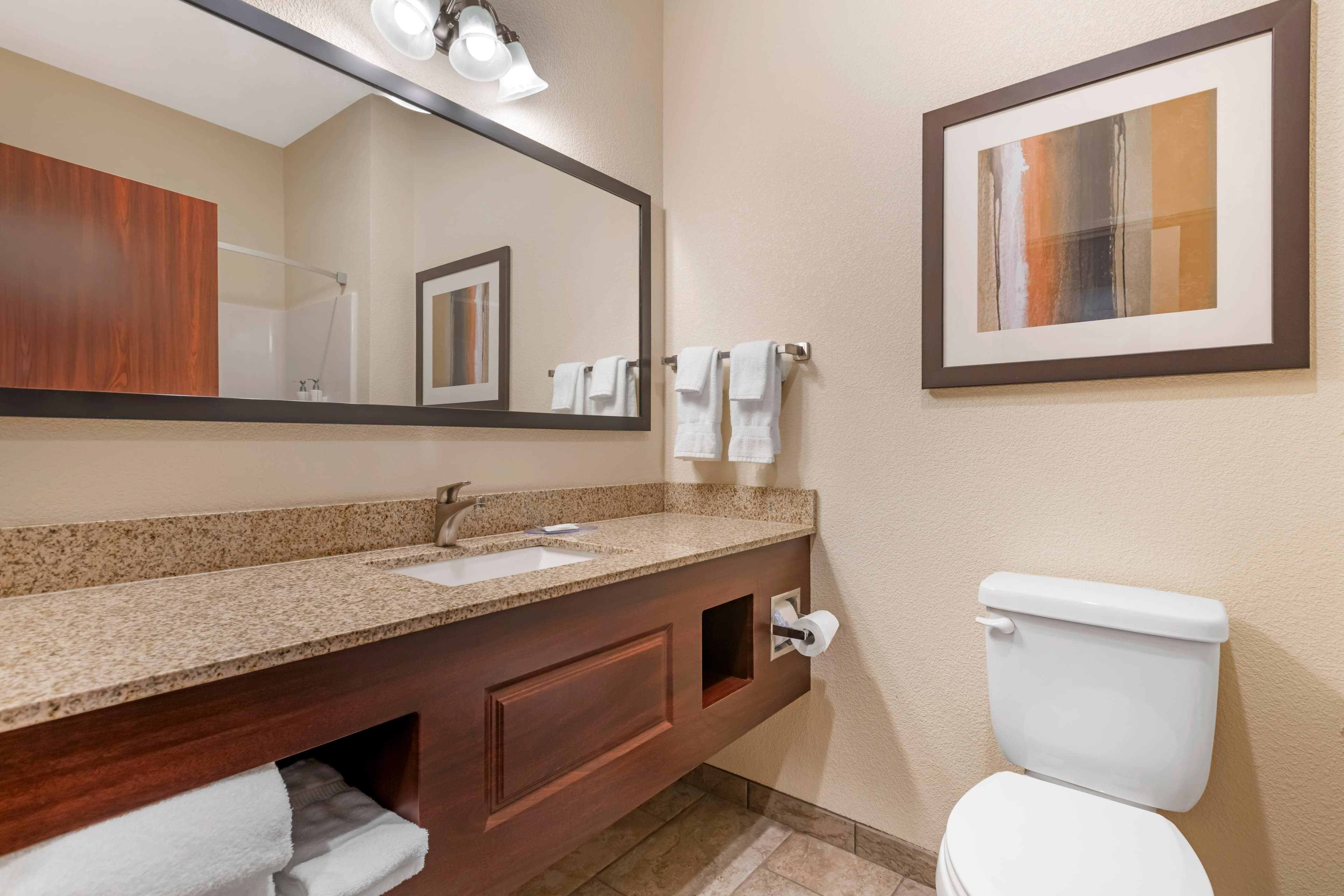 Comfort Inn & Suites Morgan - South Ogden — 51