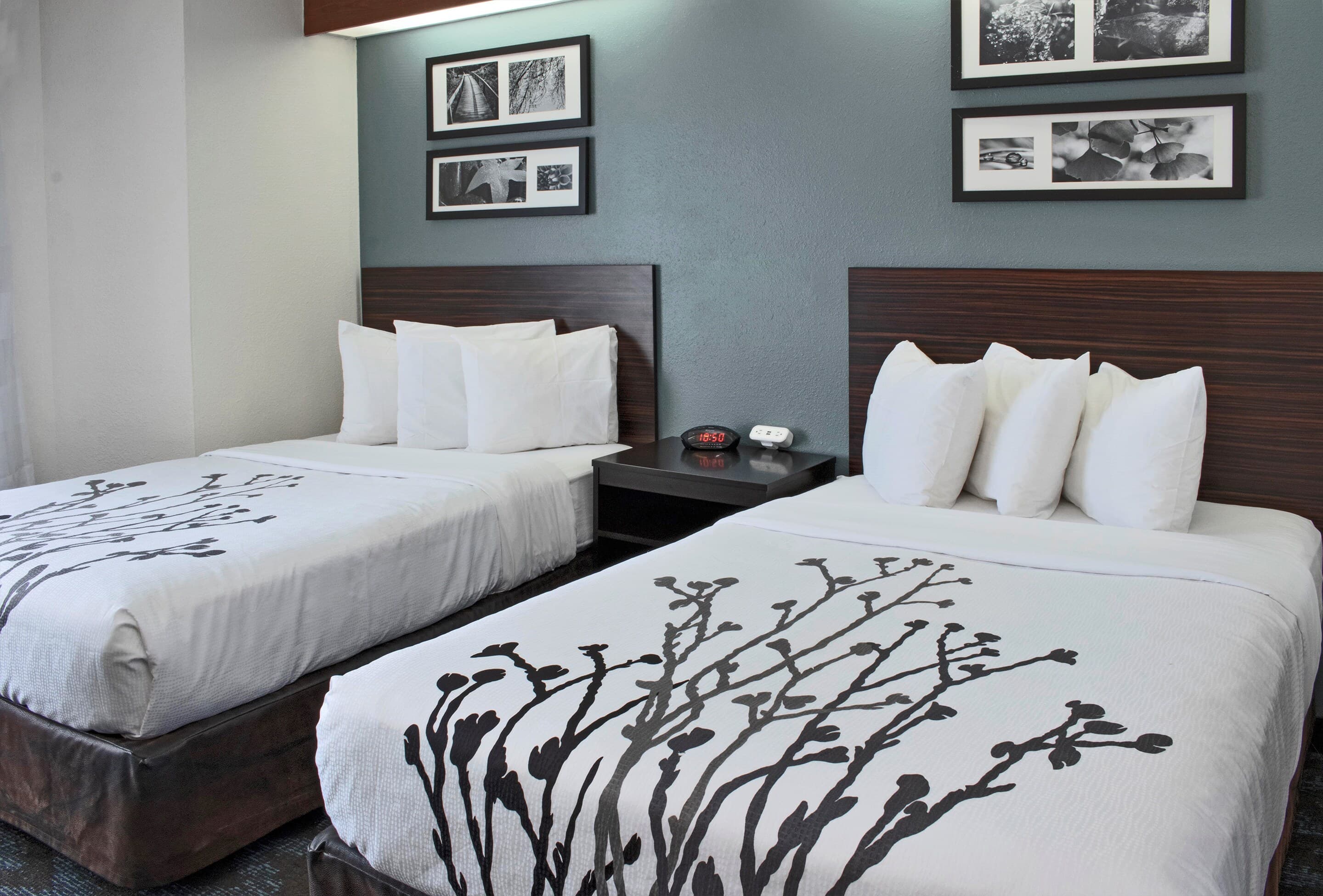 Sleep Inn Lake Wright - Norfolk Airport - Image 2