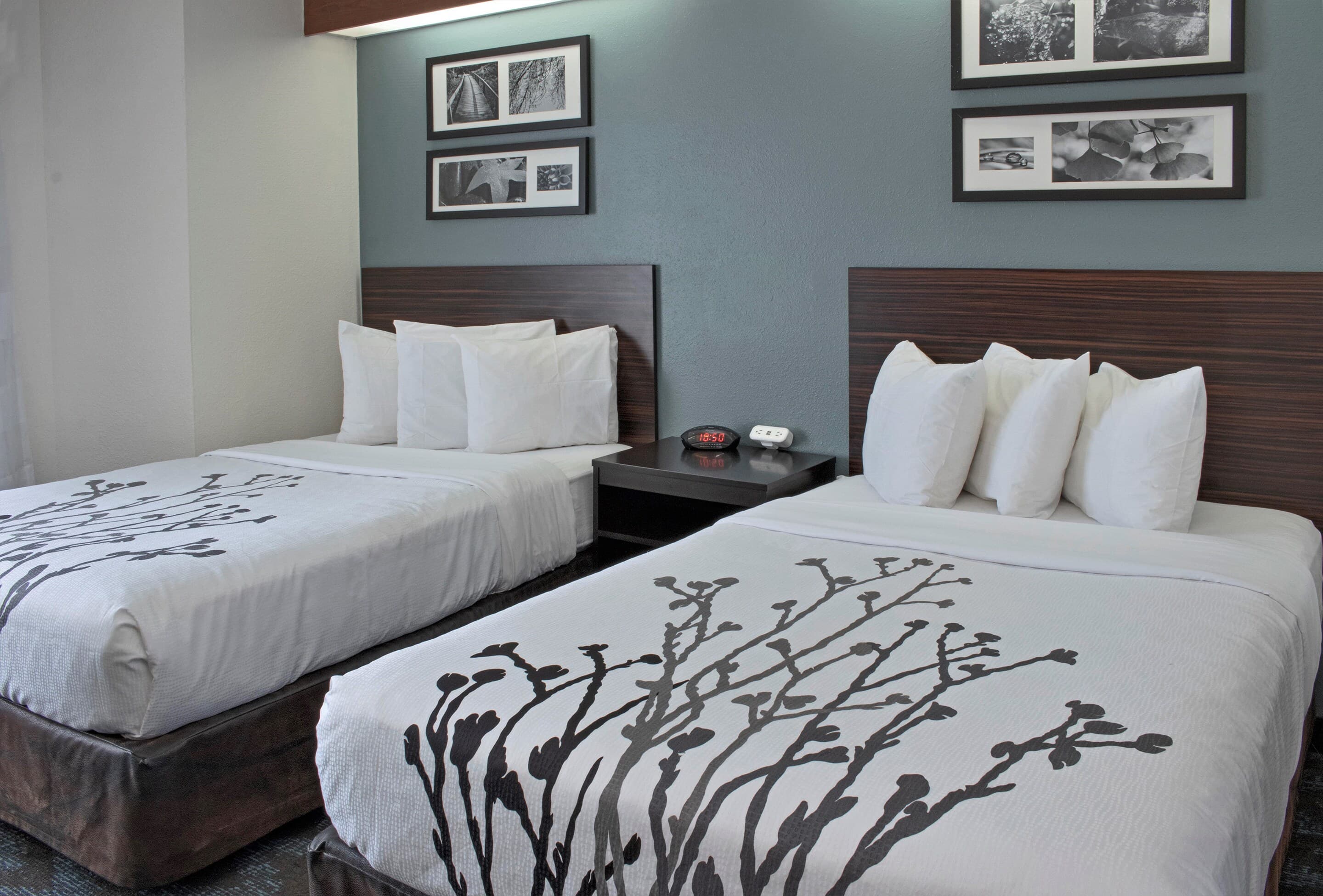 Sleep Inn Lake Wright - Norfolk Airport - Image 5