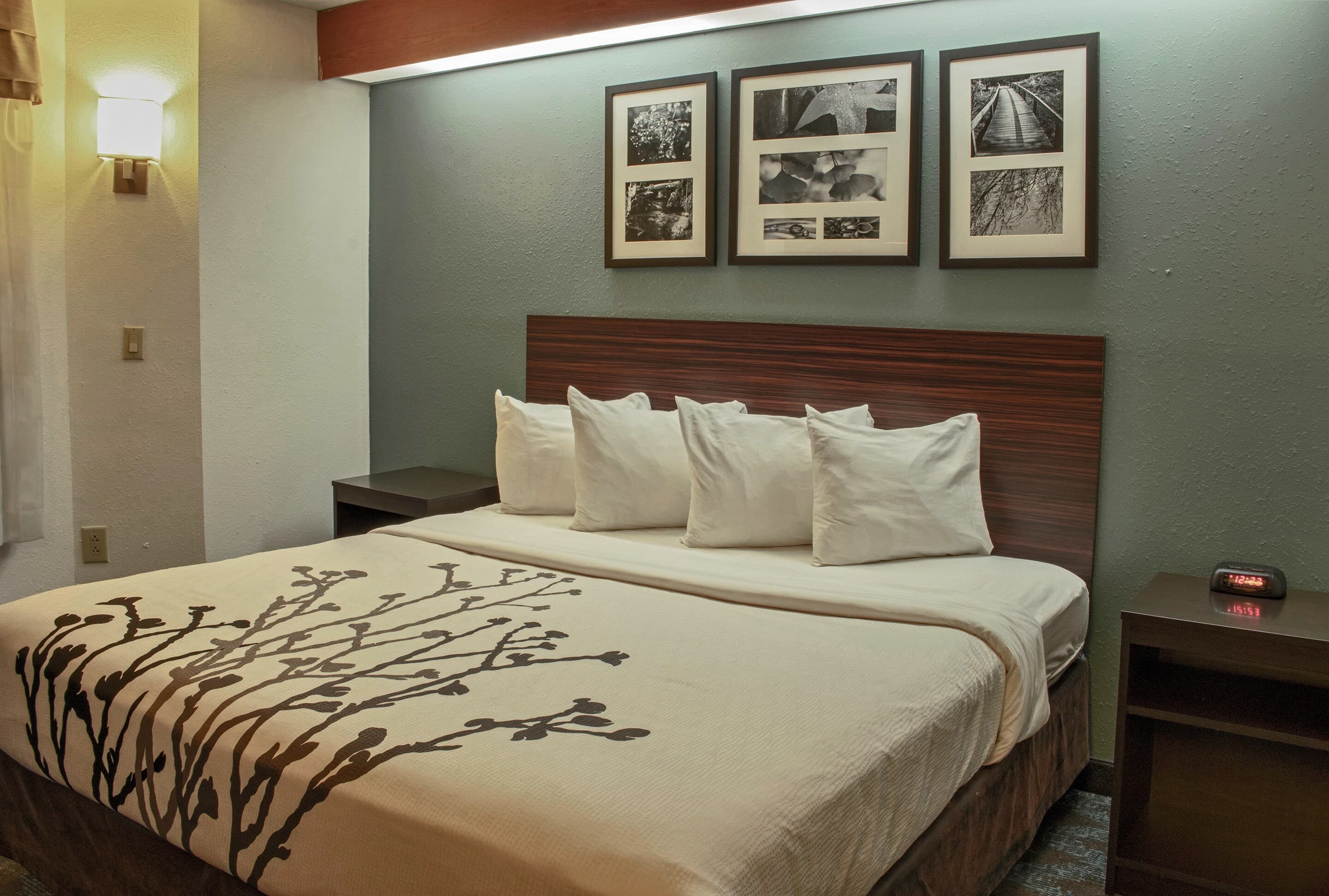 Sleep Inn Lake Wright - Norfolk Airport — 9