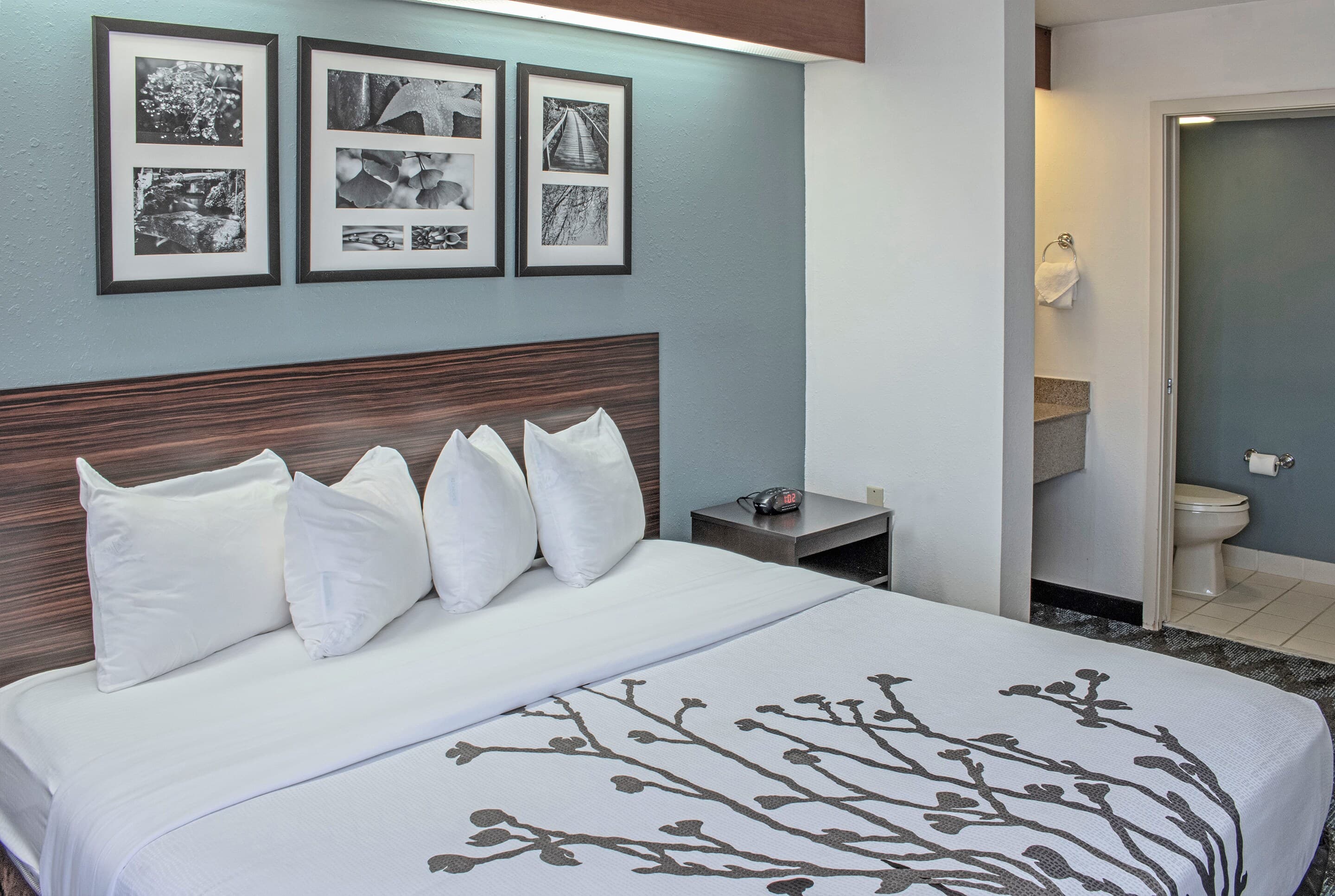Sleep Inn Lake Wright - Norfolk Airport — 11
