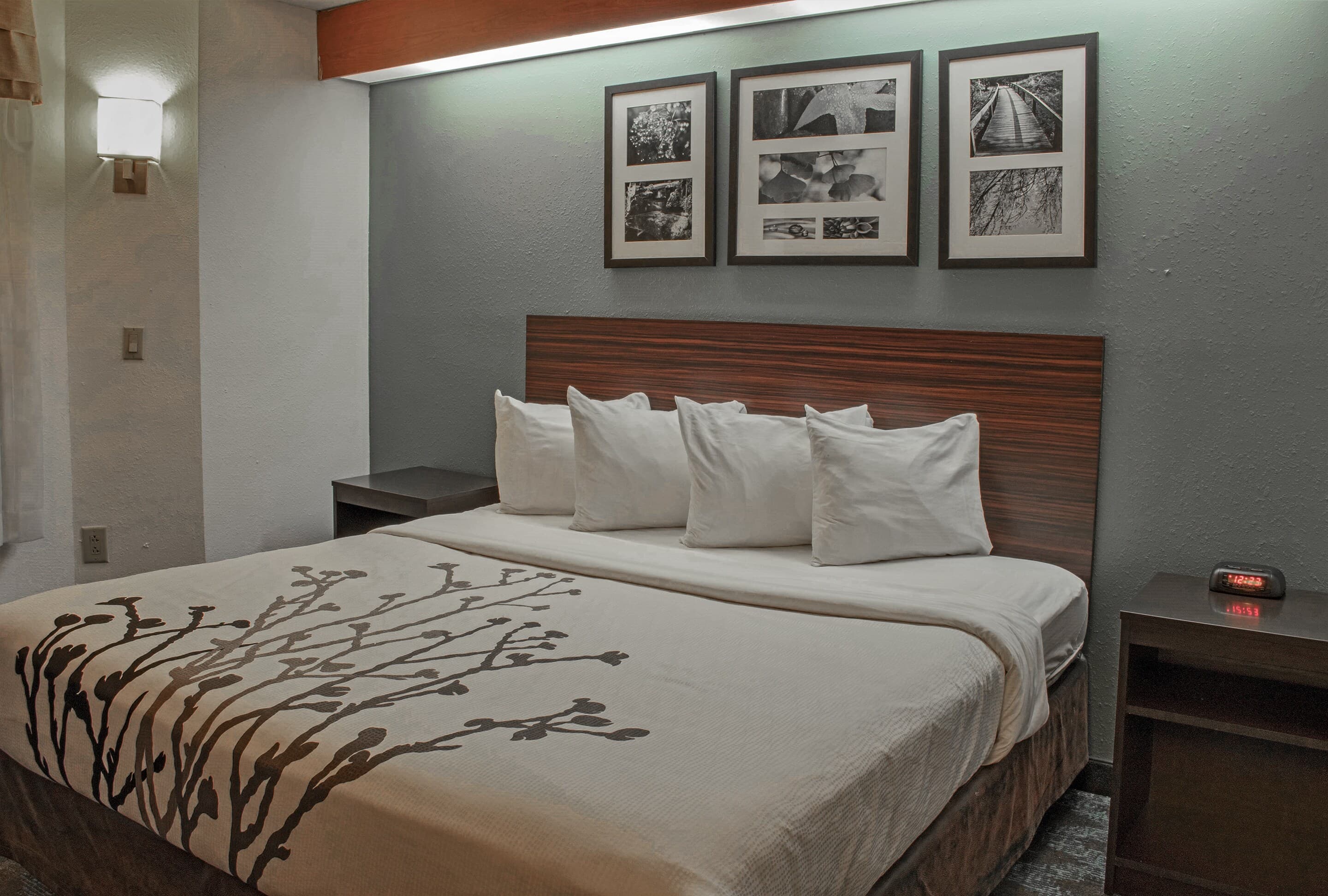 Sleep Inn Lake Wright - Norfolk Airport — 14