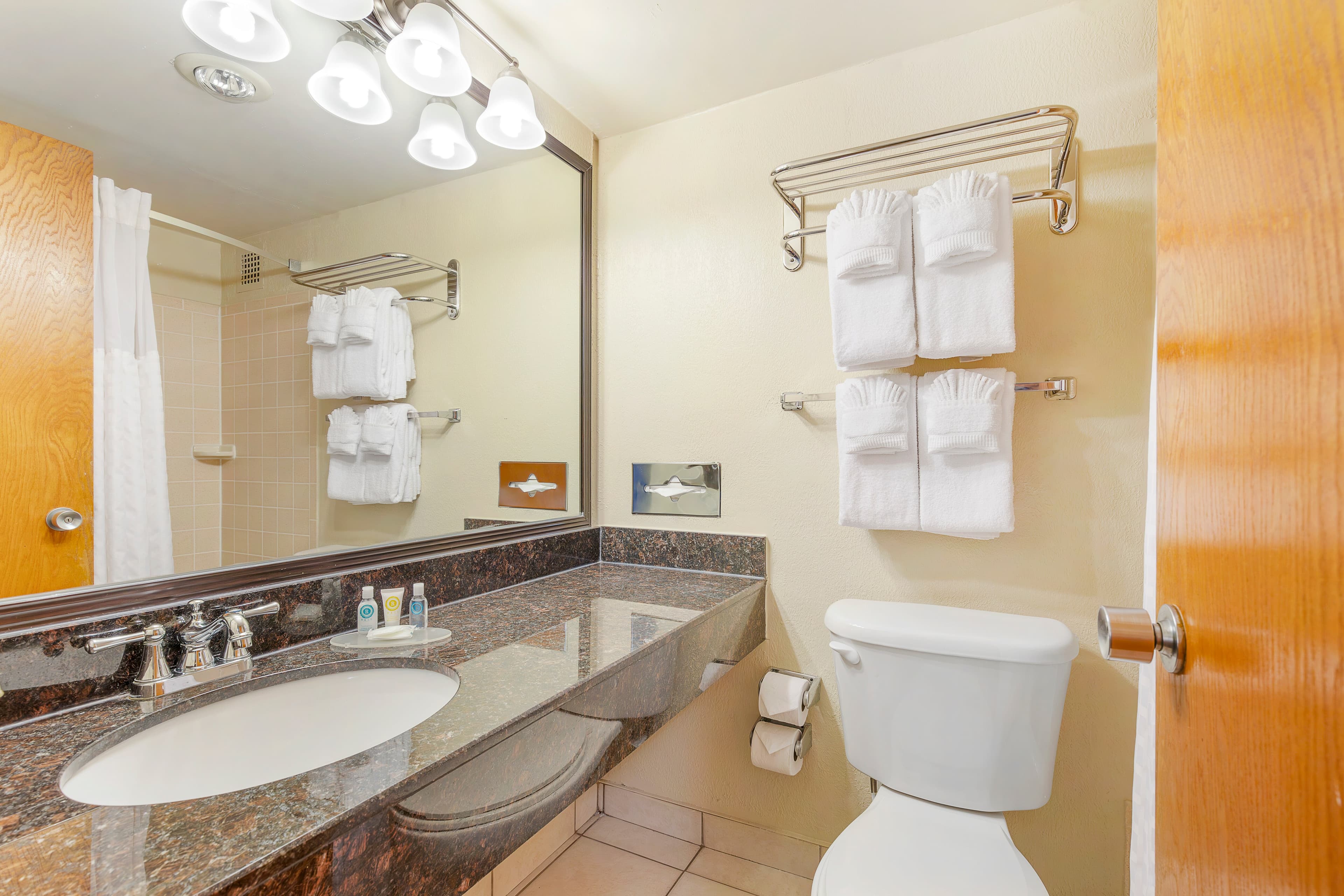 Comfort Inn University Center — 14