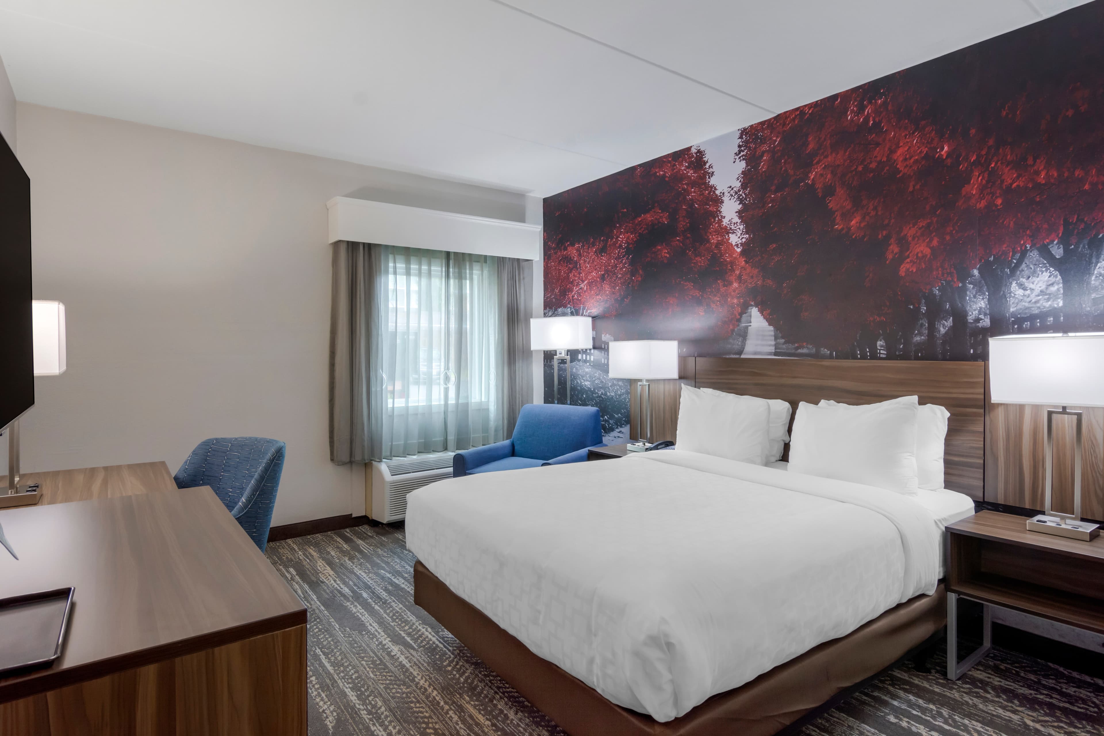 Clarion Pointe Charlottesville — 11