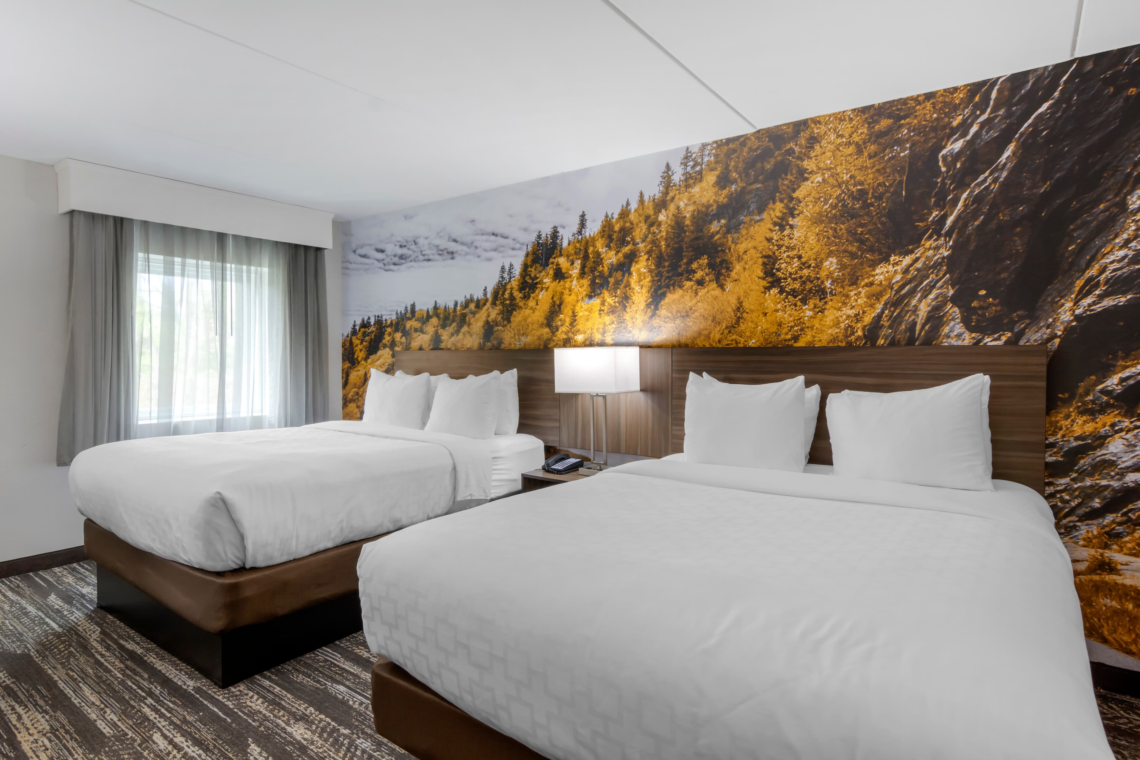 Clarion Pointe Charlottesville — 20