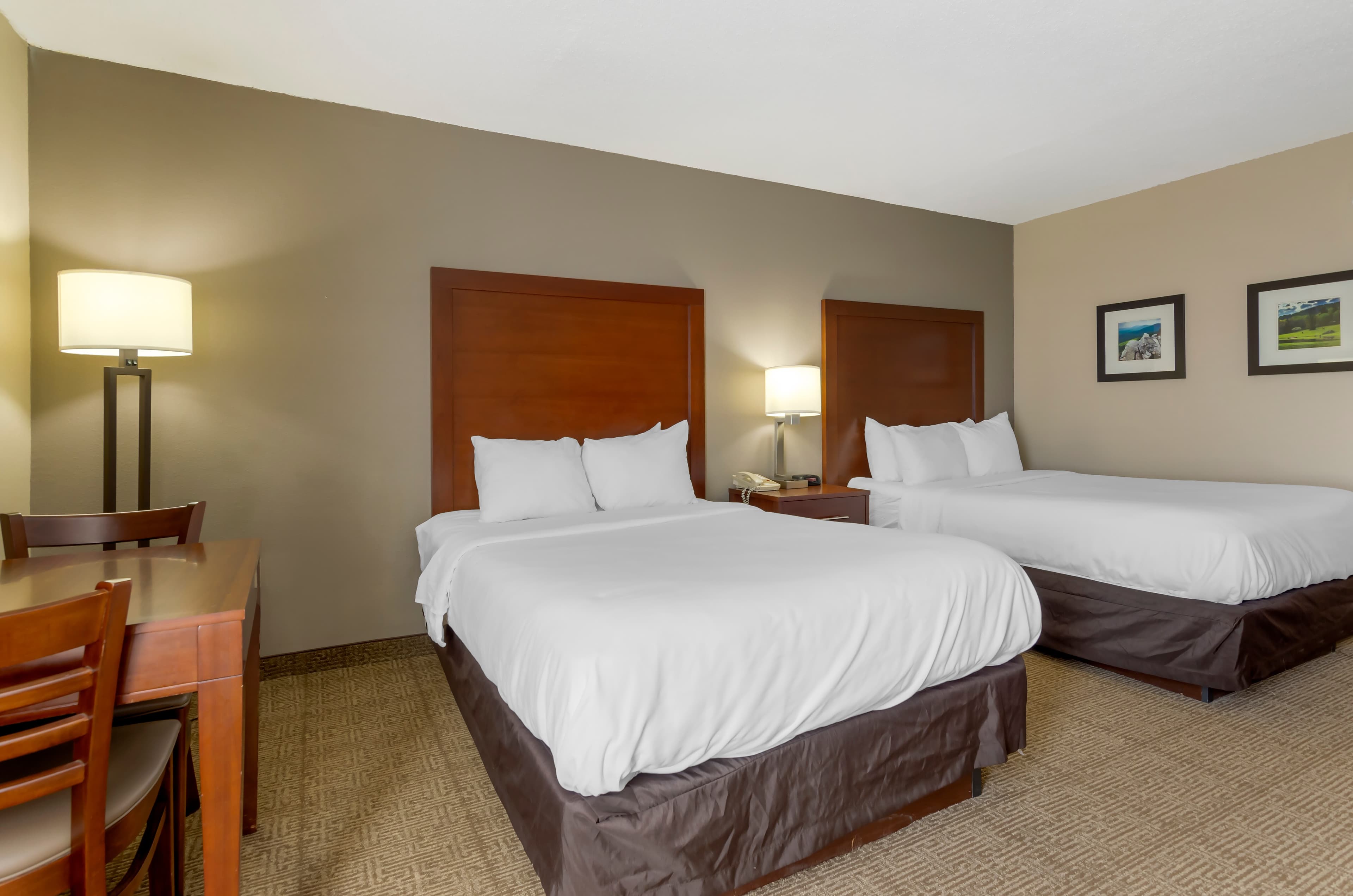 Comfort Inn Blacksburg University Area - Image 3