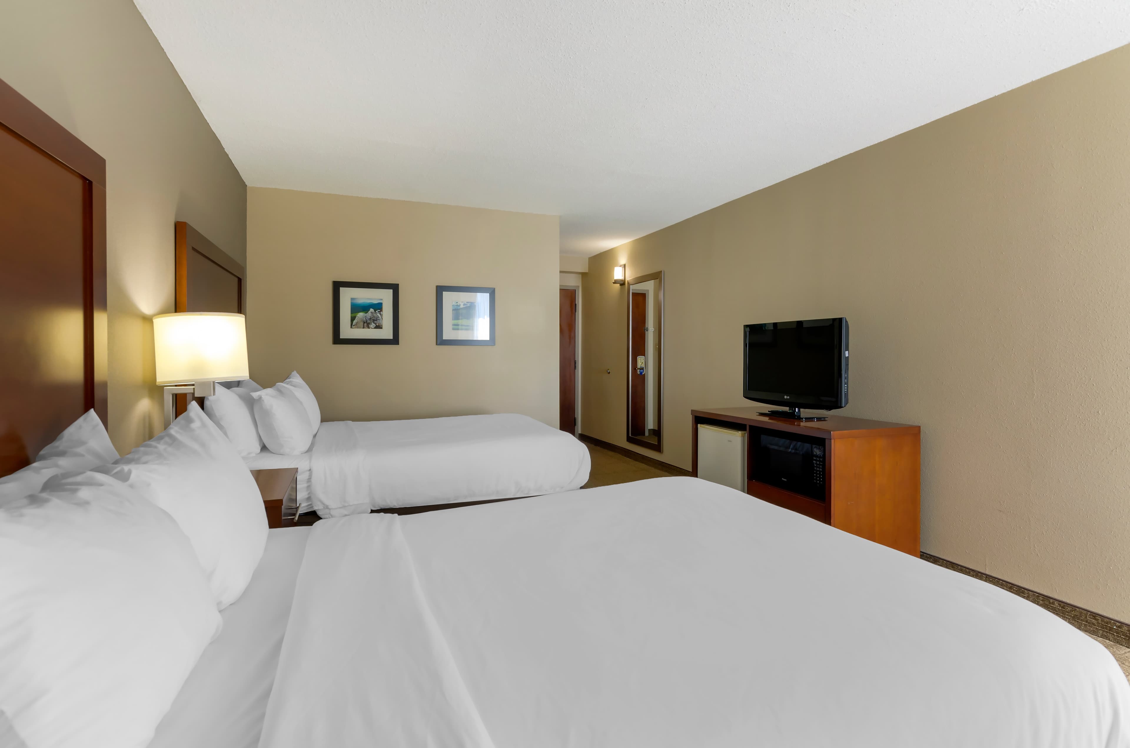 Comfort Inn Blacksburg University Area - Image 4