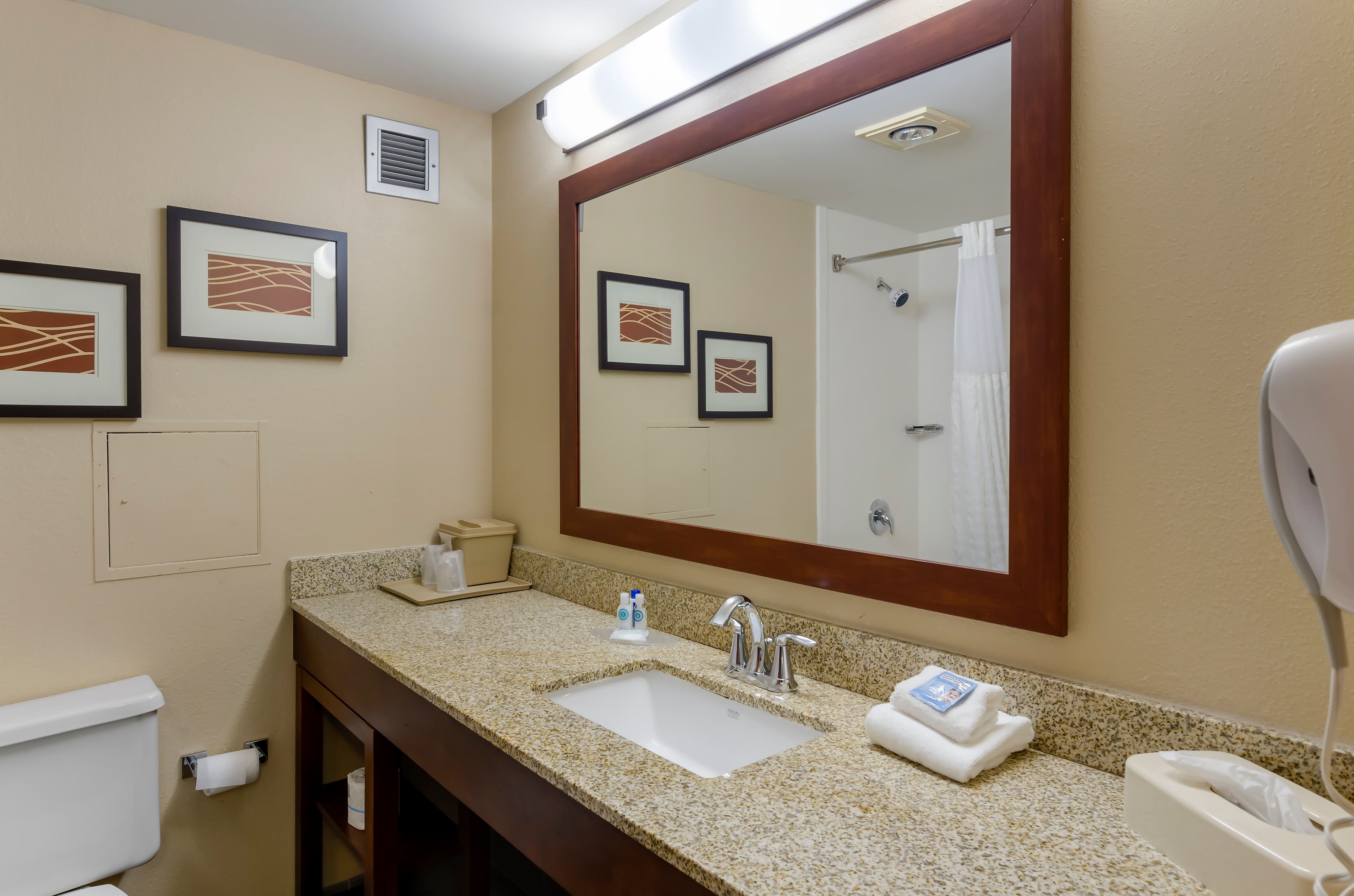 Comfort Inn Blacksburg University Area - Image 5