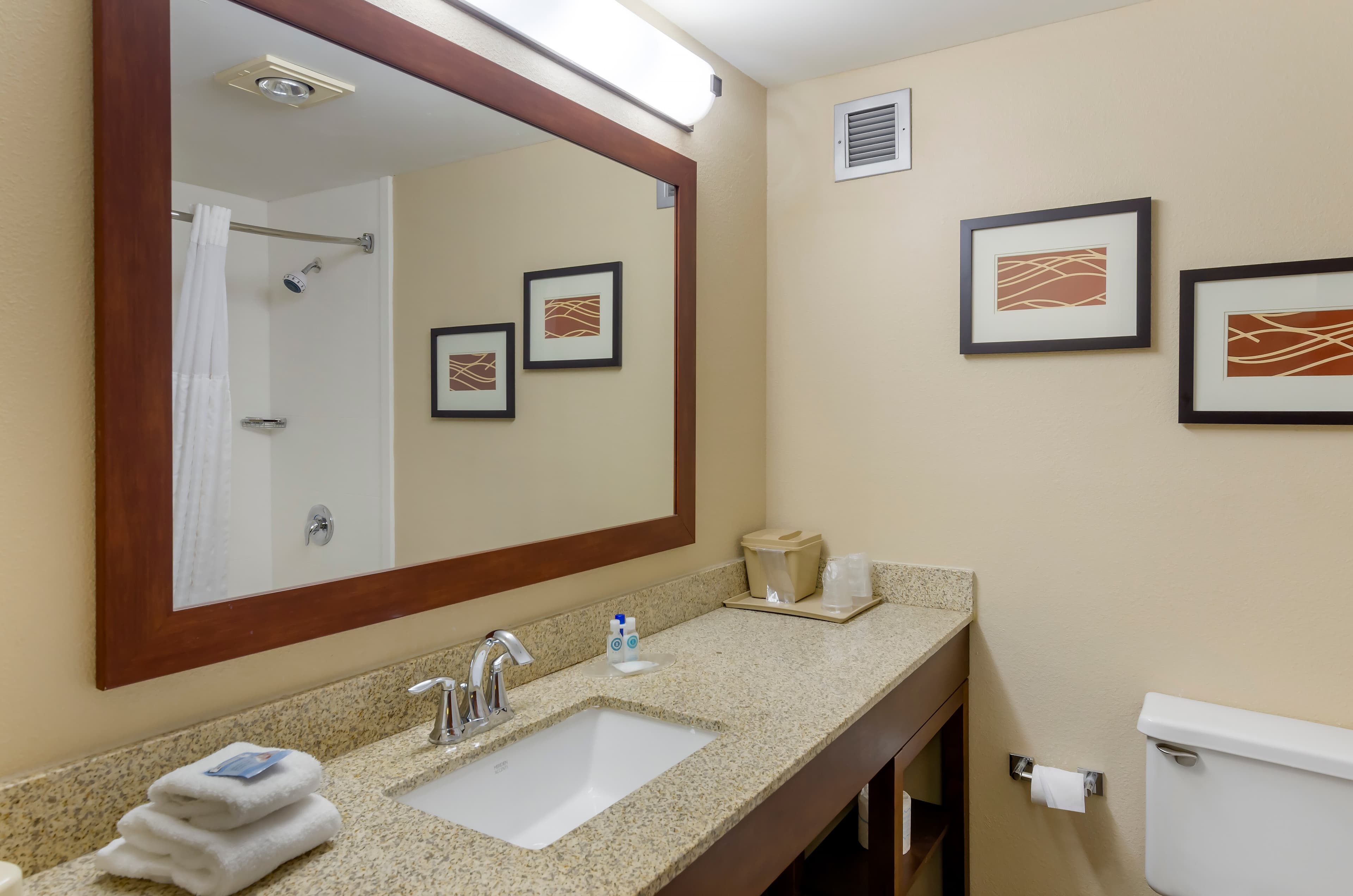 Comfort Inn Blacksburg University Area — 9