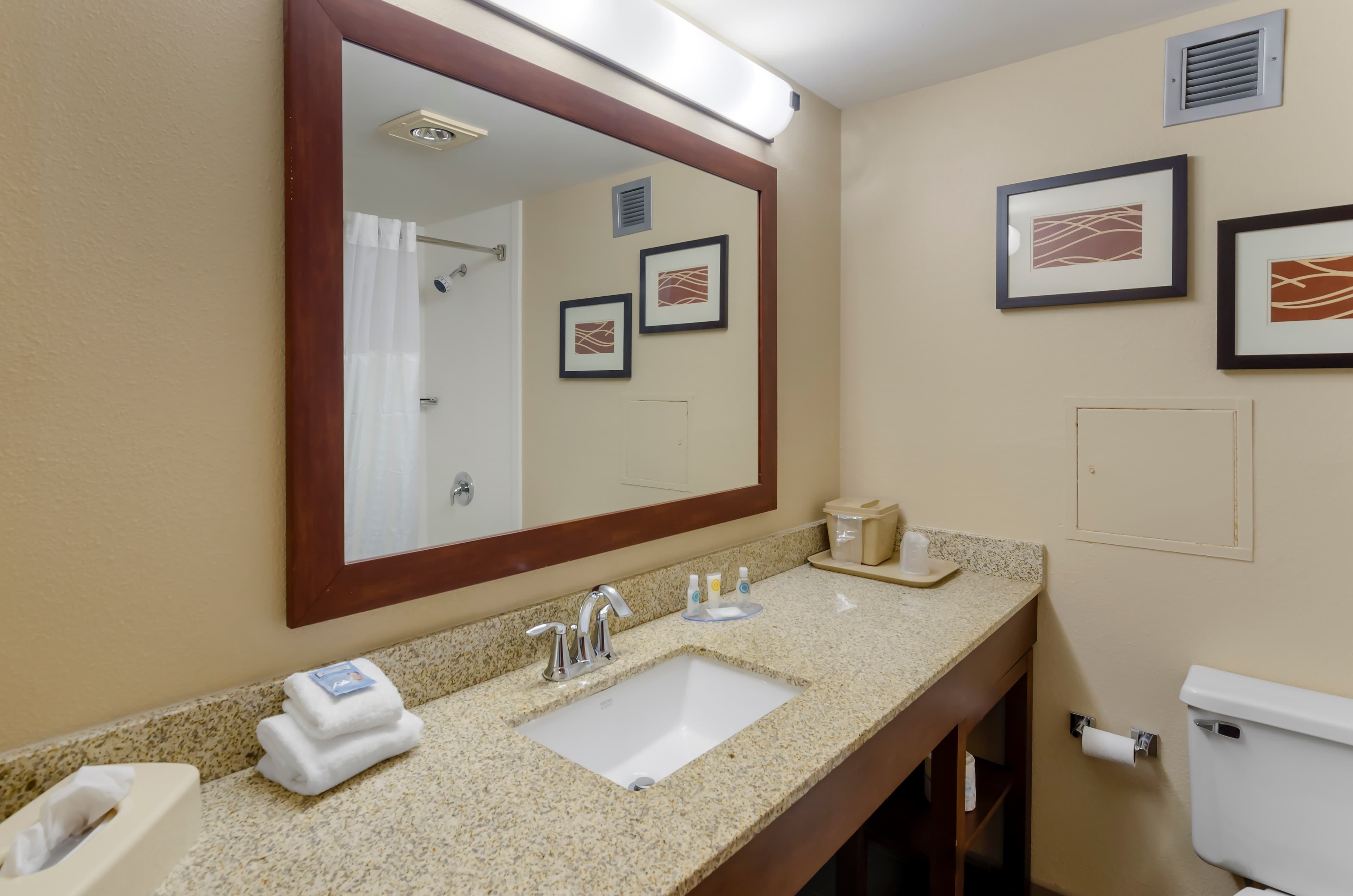 Comfort Inn Blacksburg University Area — 17