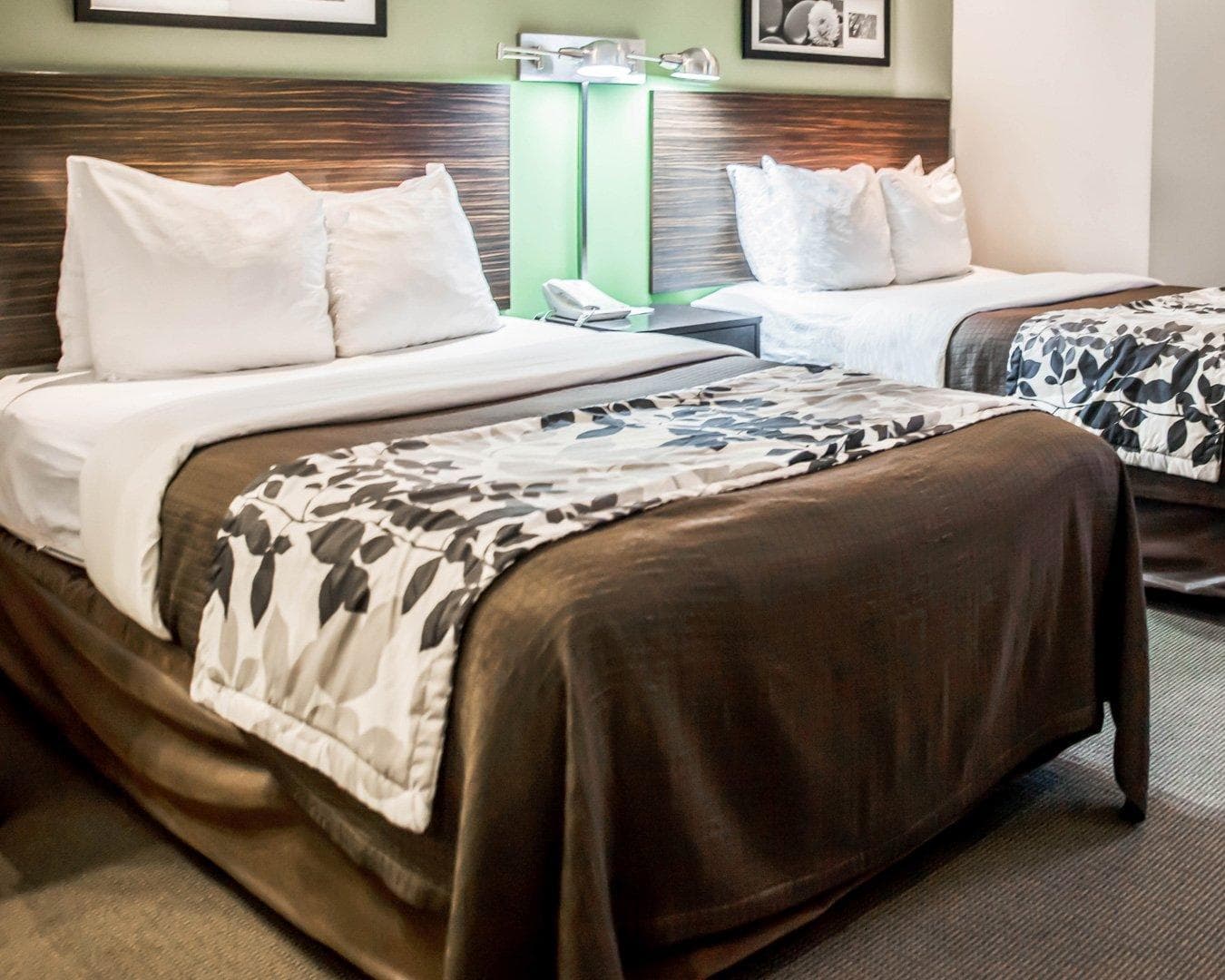 Sleep Inn Fredericksburg North - Image 3