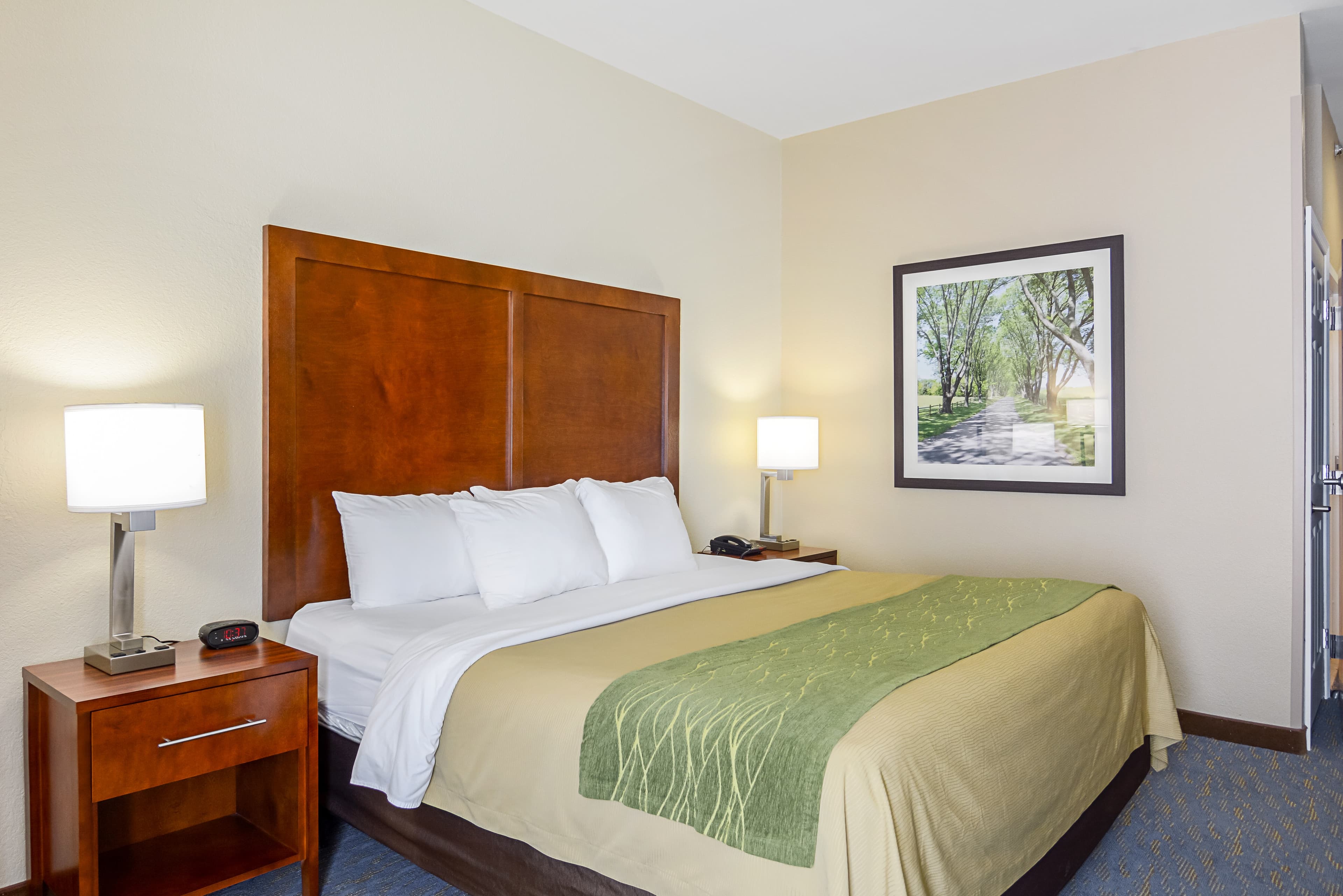 Comfort Inn Woodstock Shenandoah - Image 4