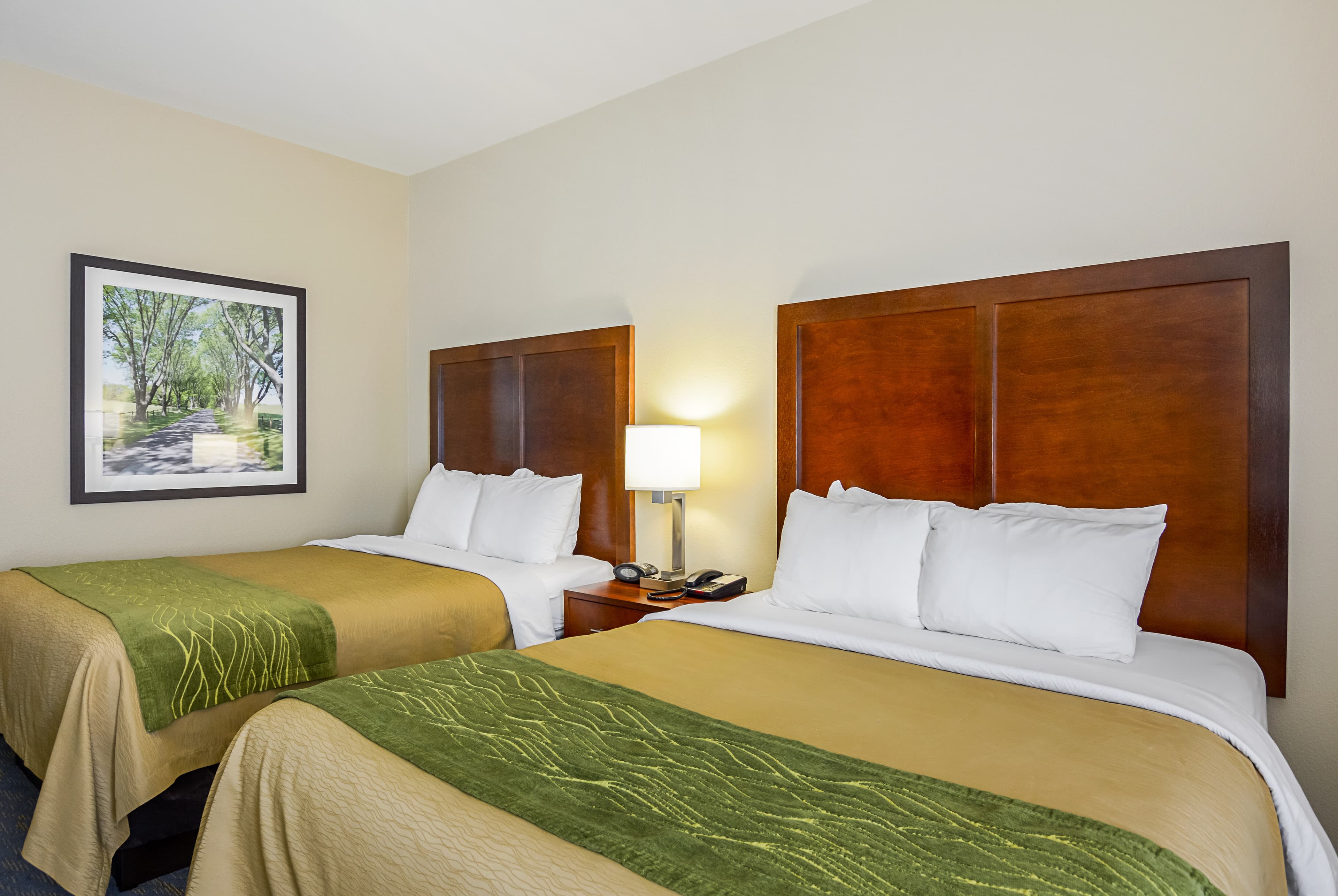 Comfort Inn Woodstock Shenandoah — 12