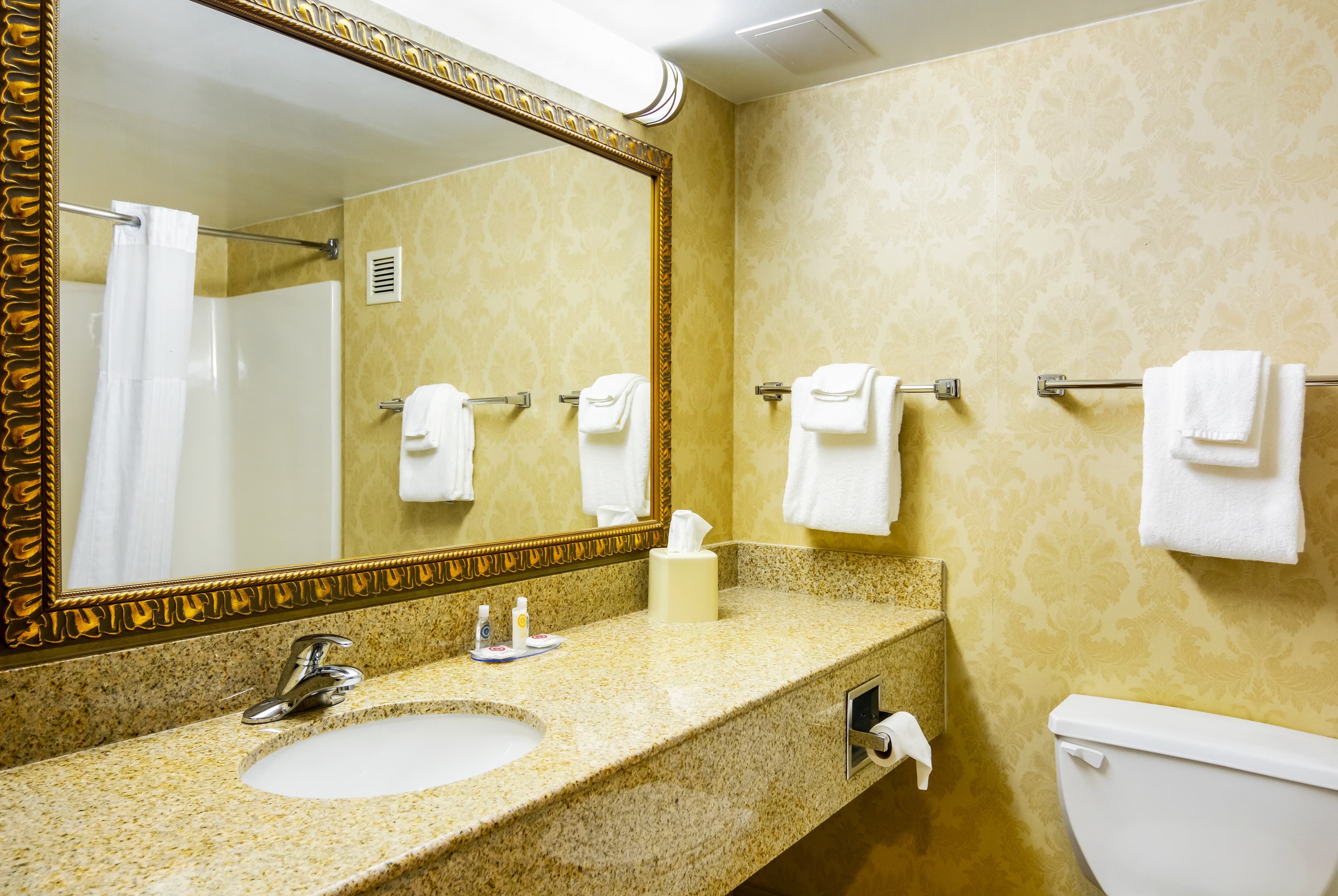 Comfort Inn Woodstock Shenandoah — 22