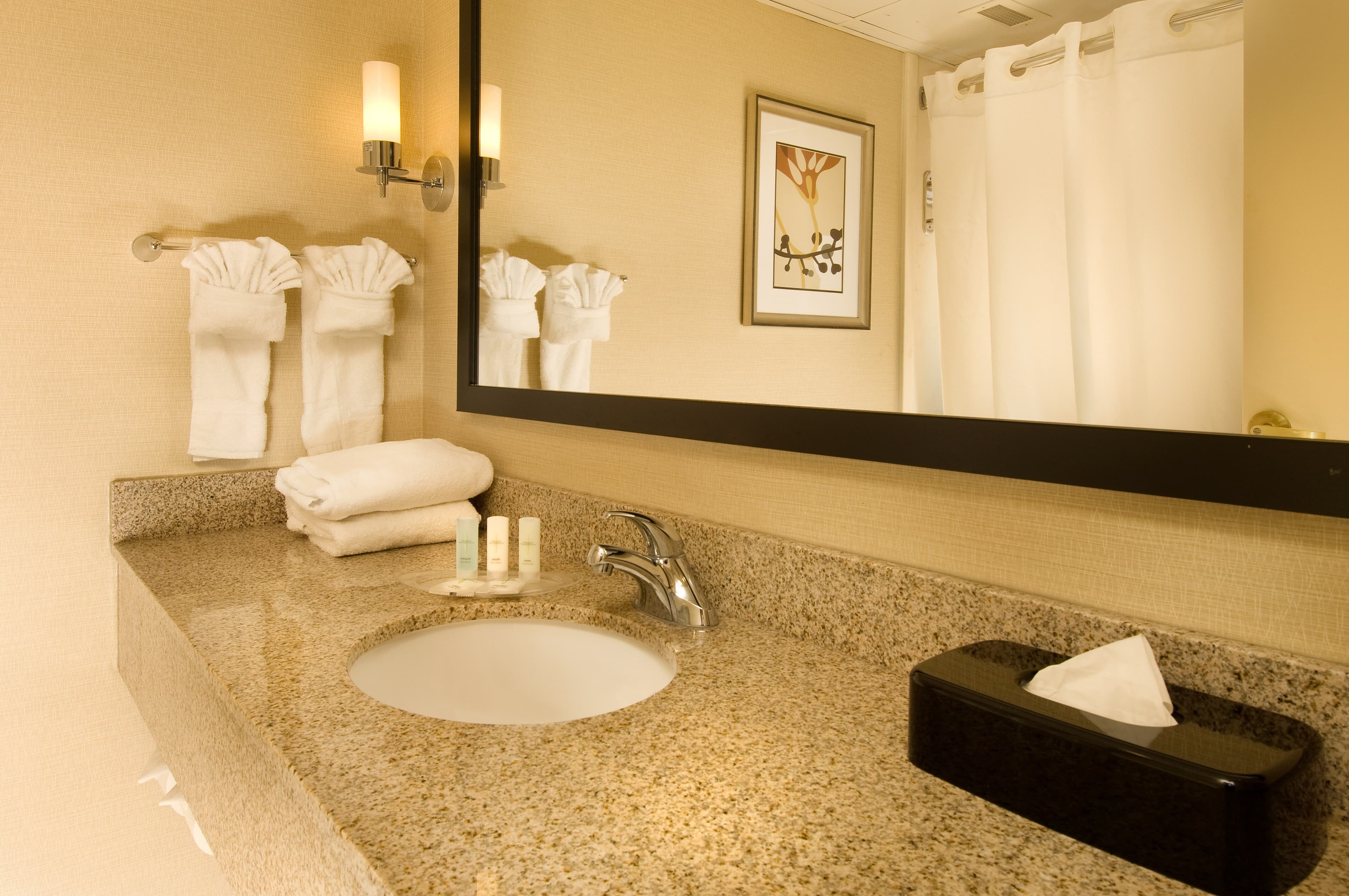 Comfort Suites Chantilly - Dulles Airport - Image 4