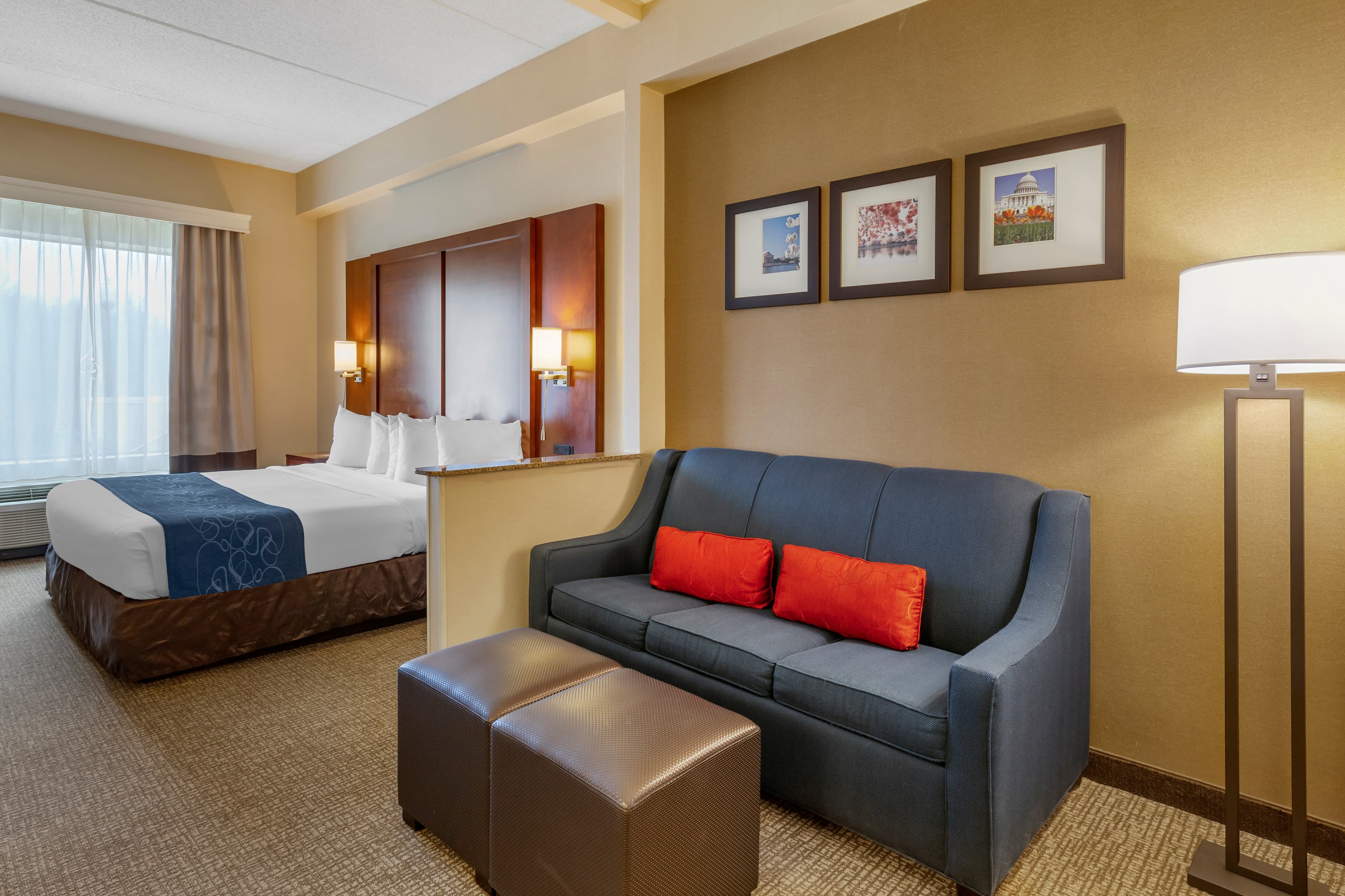 Comfort Suites Manassas Battlefield Park - Image 2