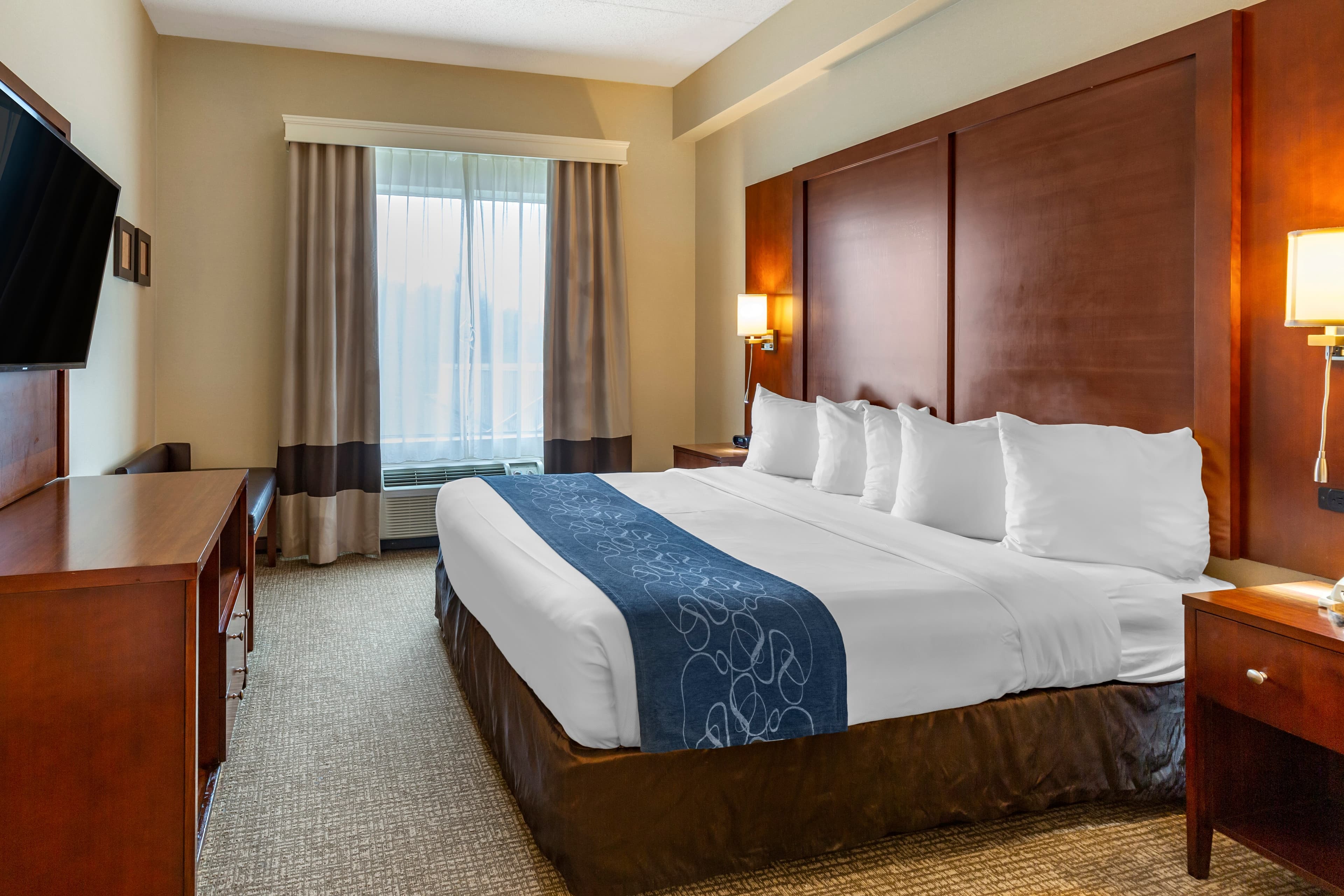 Comfort Suites Manassas Battlefield Park - Image 4