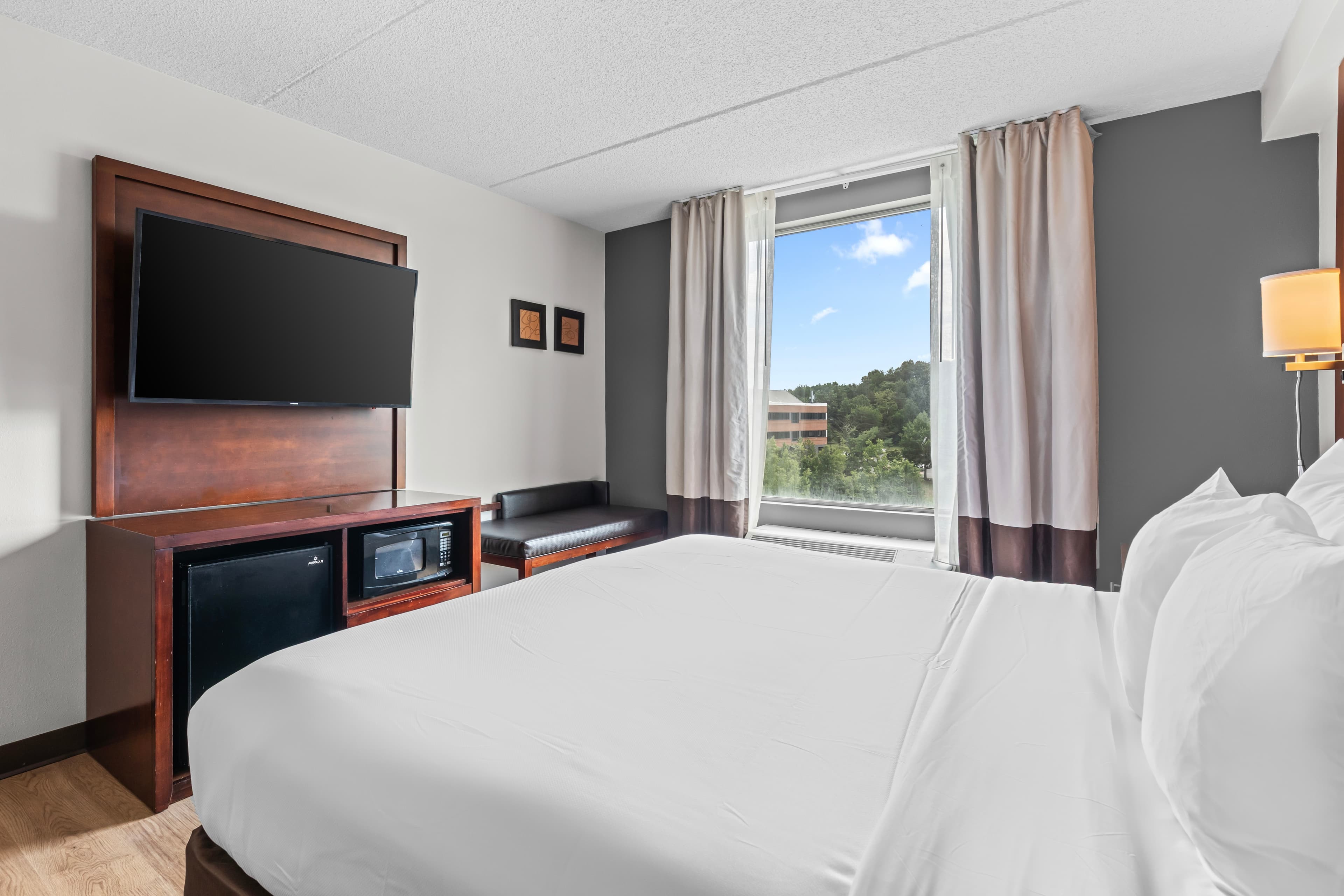 Comfort Suites Manassas Battlefield Park - Image 4