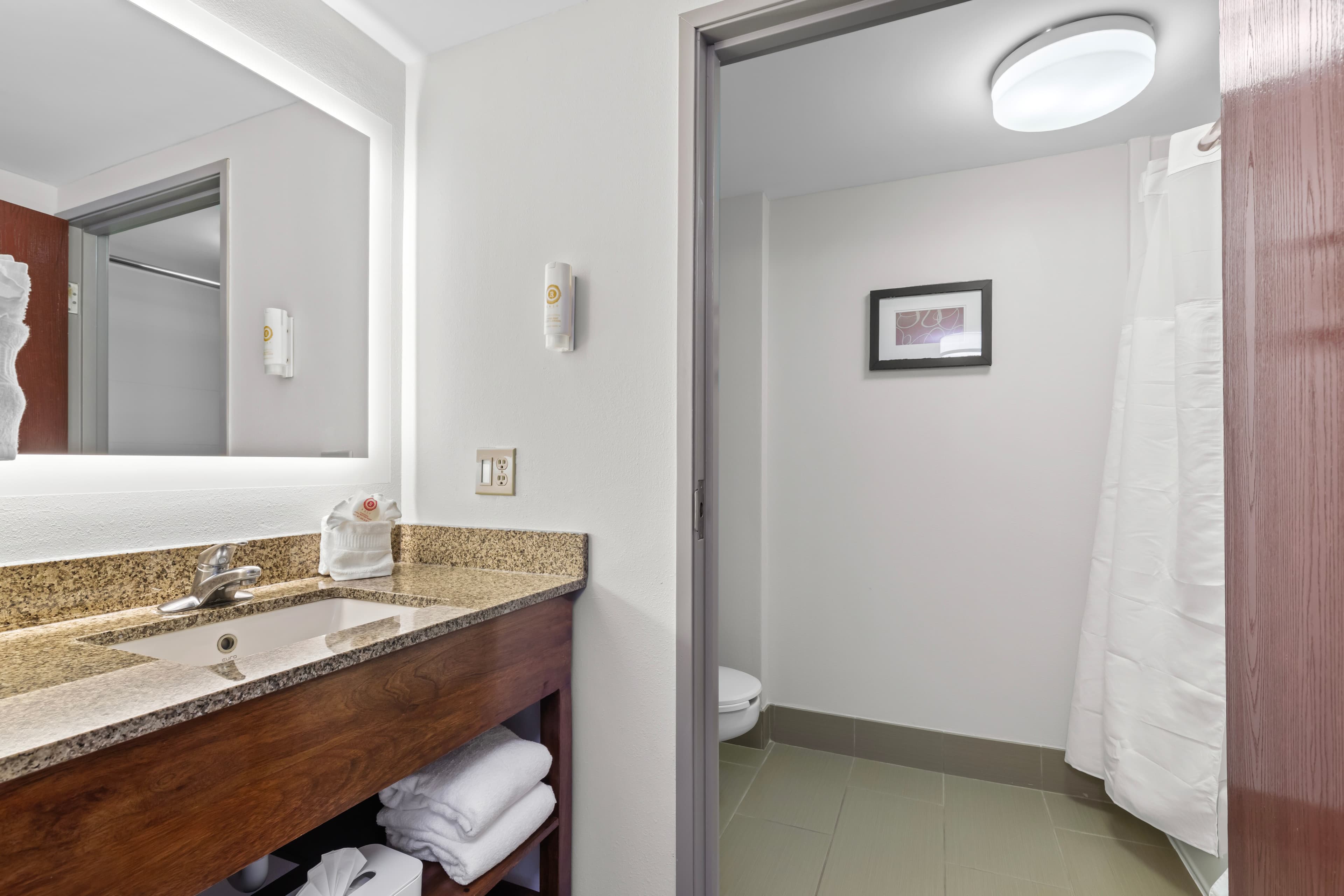 Comfort Suites Manassas Battlefield Park — 10