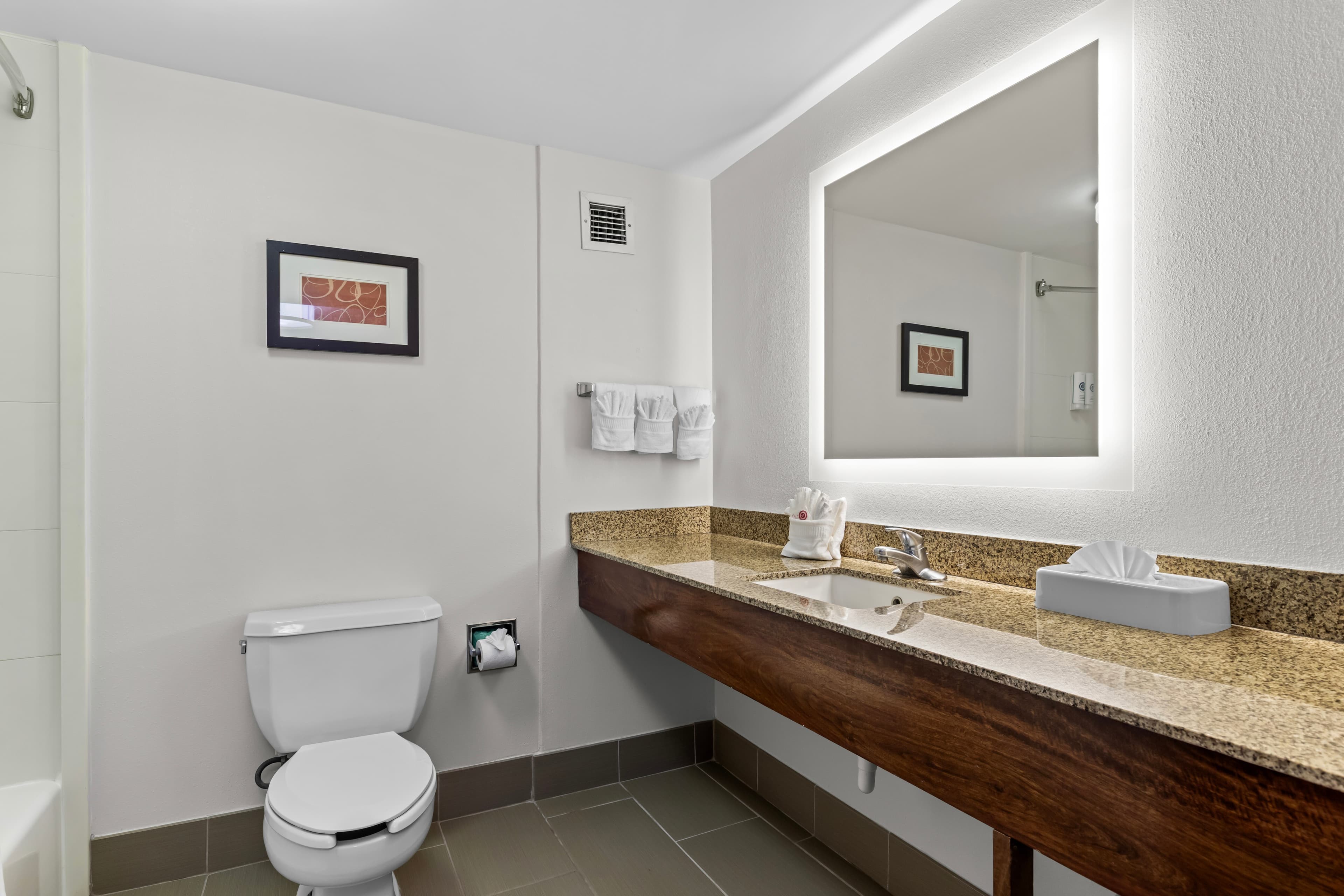 Comfort Suites Manassas Battlefield Park — 14