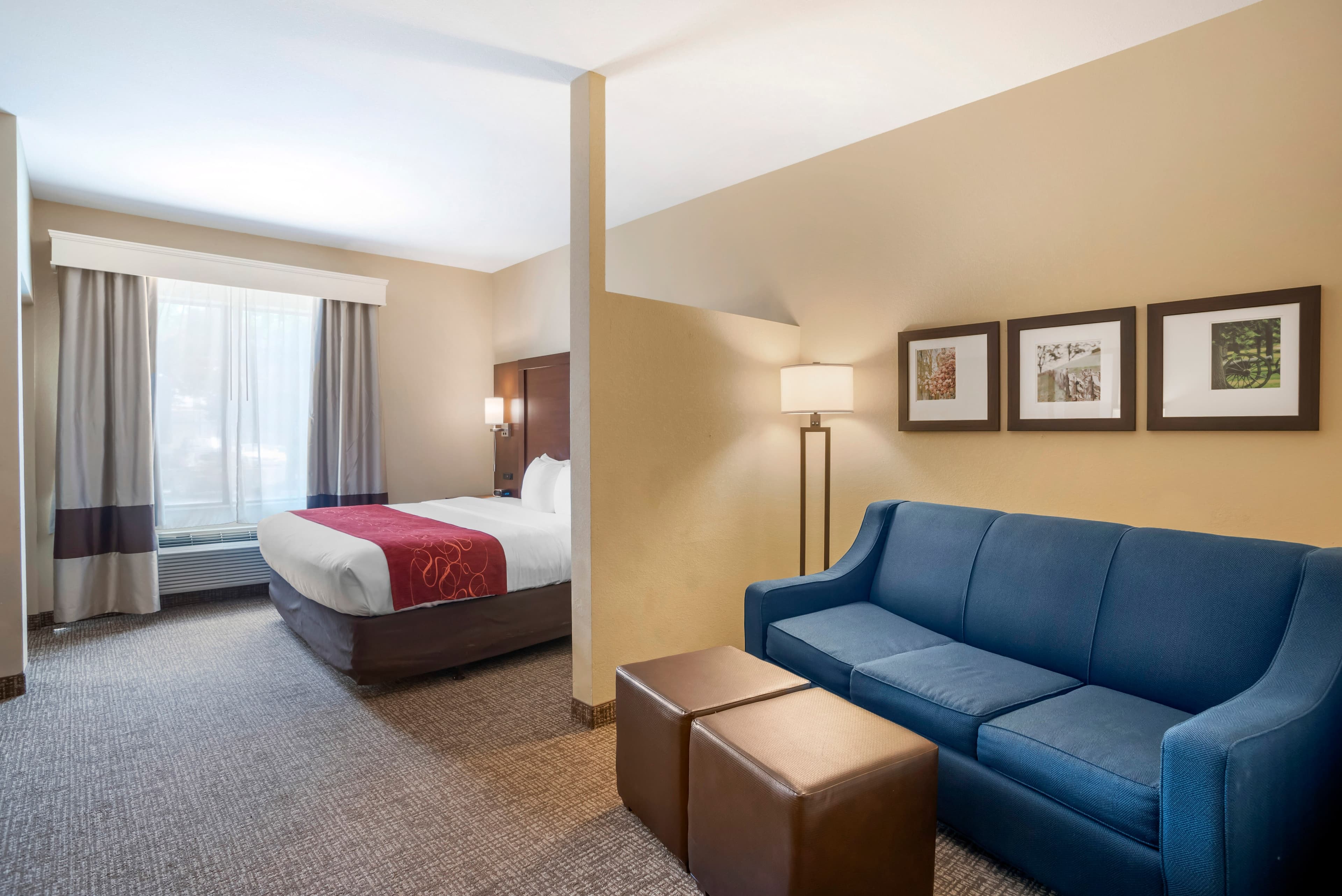 Comfort Suites Fredericksburg North — 14