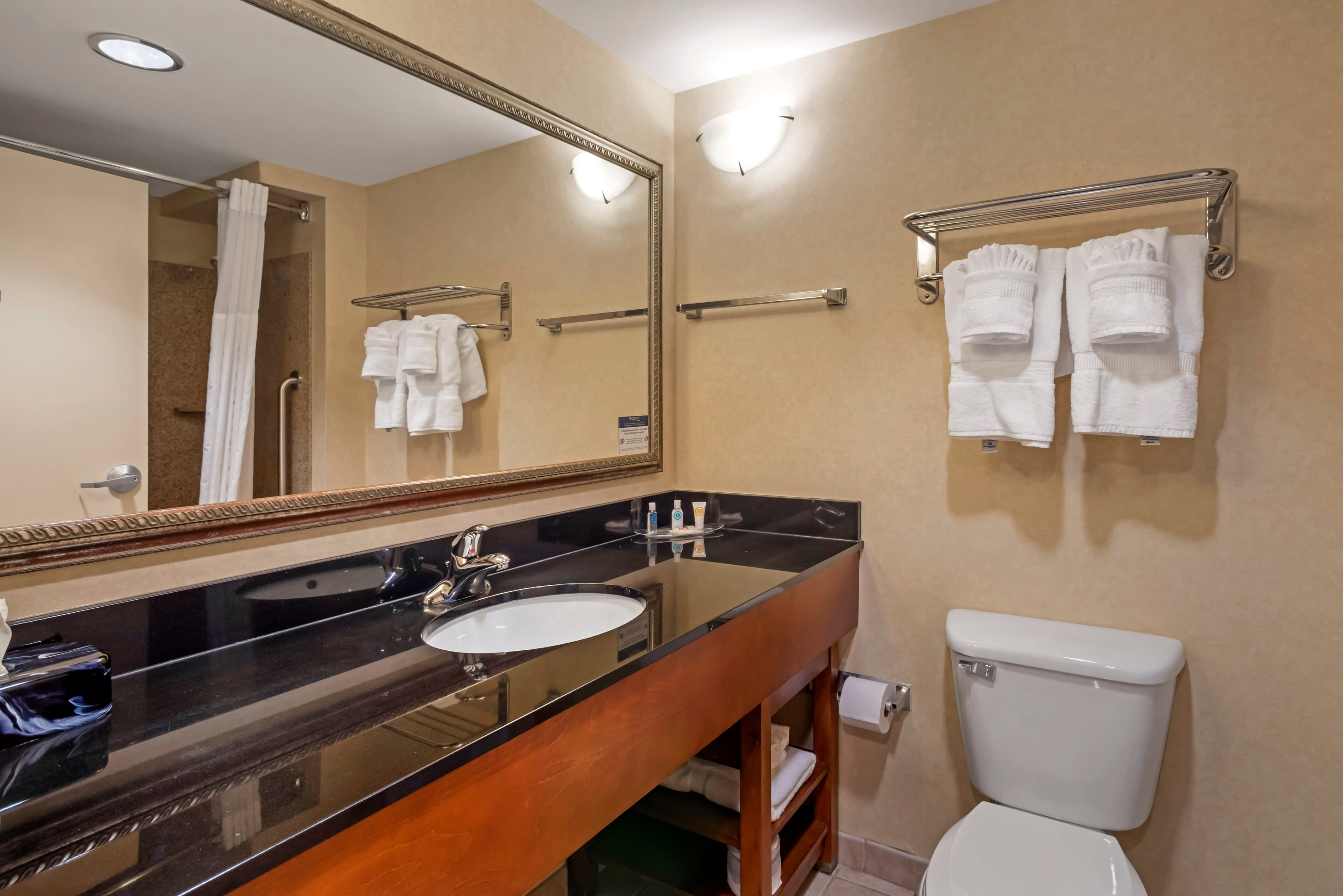 Comfort Suites Fredericksburg North — 28