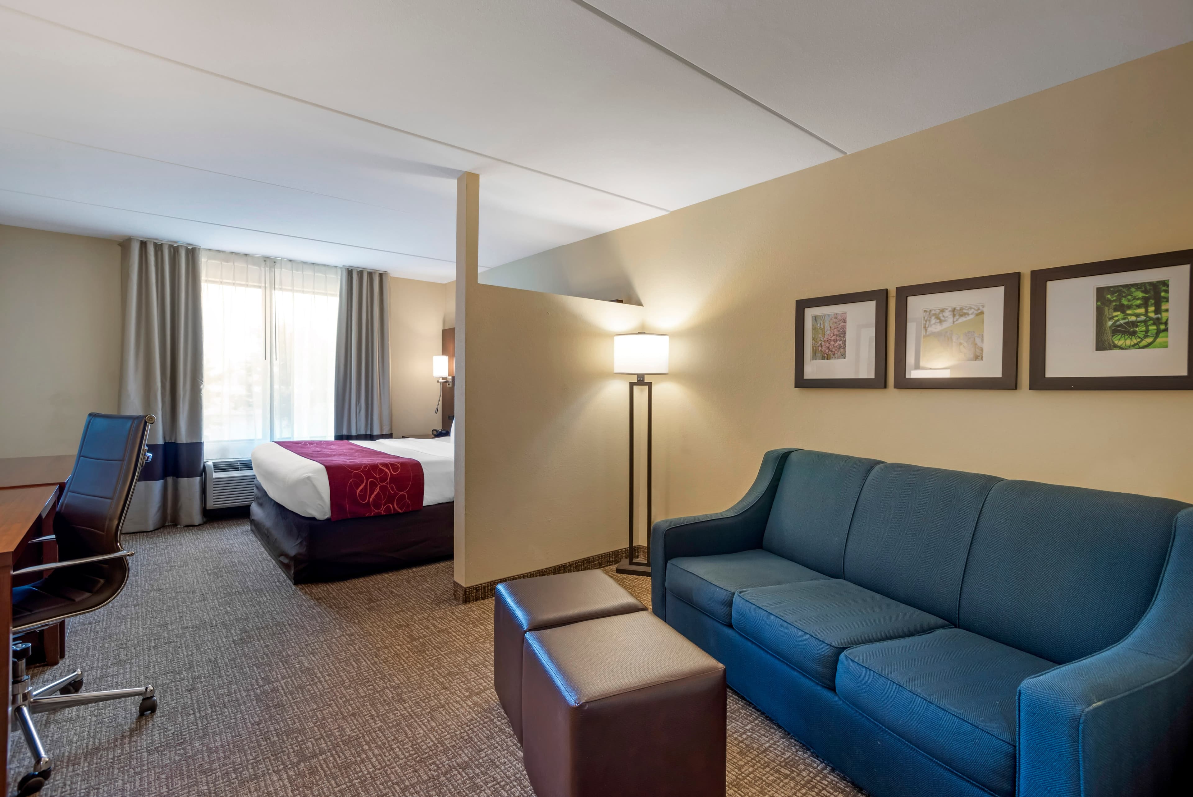Comfort Suites Fredericksburg North — 31