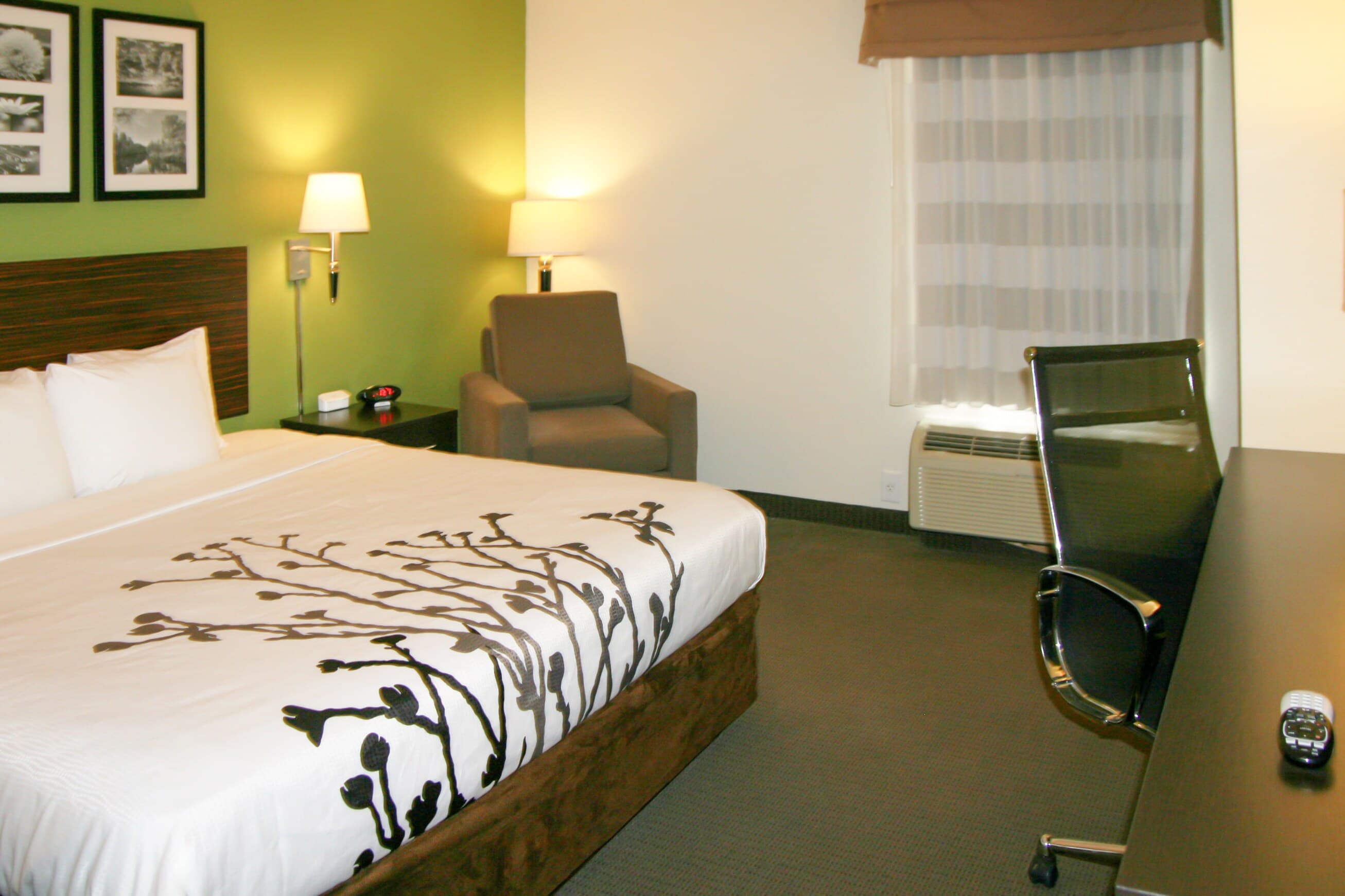 Sleep Inn & Suites Stony Creek - Petersburg South - Image 3