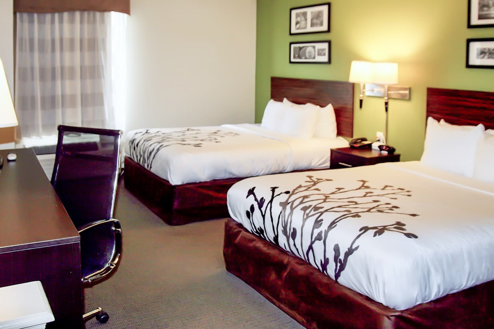 Sleep Inn & Suites Stony Creek - Petersburg South - Image 4