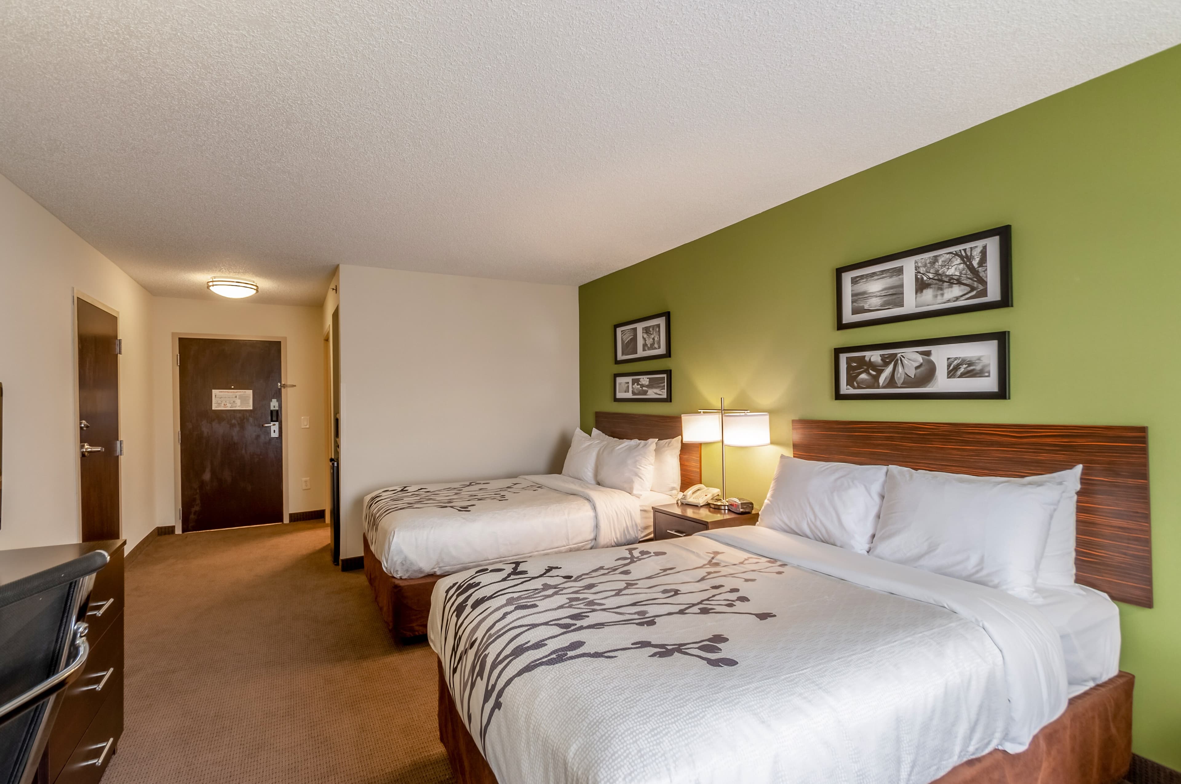 Sleep Inn & Suites Harrisonburg near University - Image 3