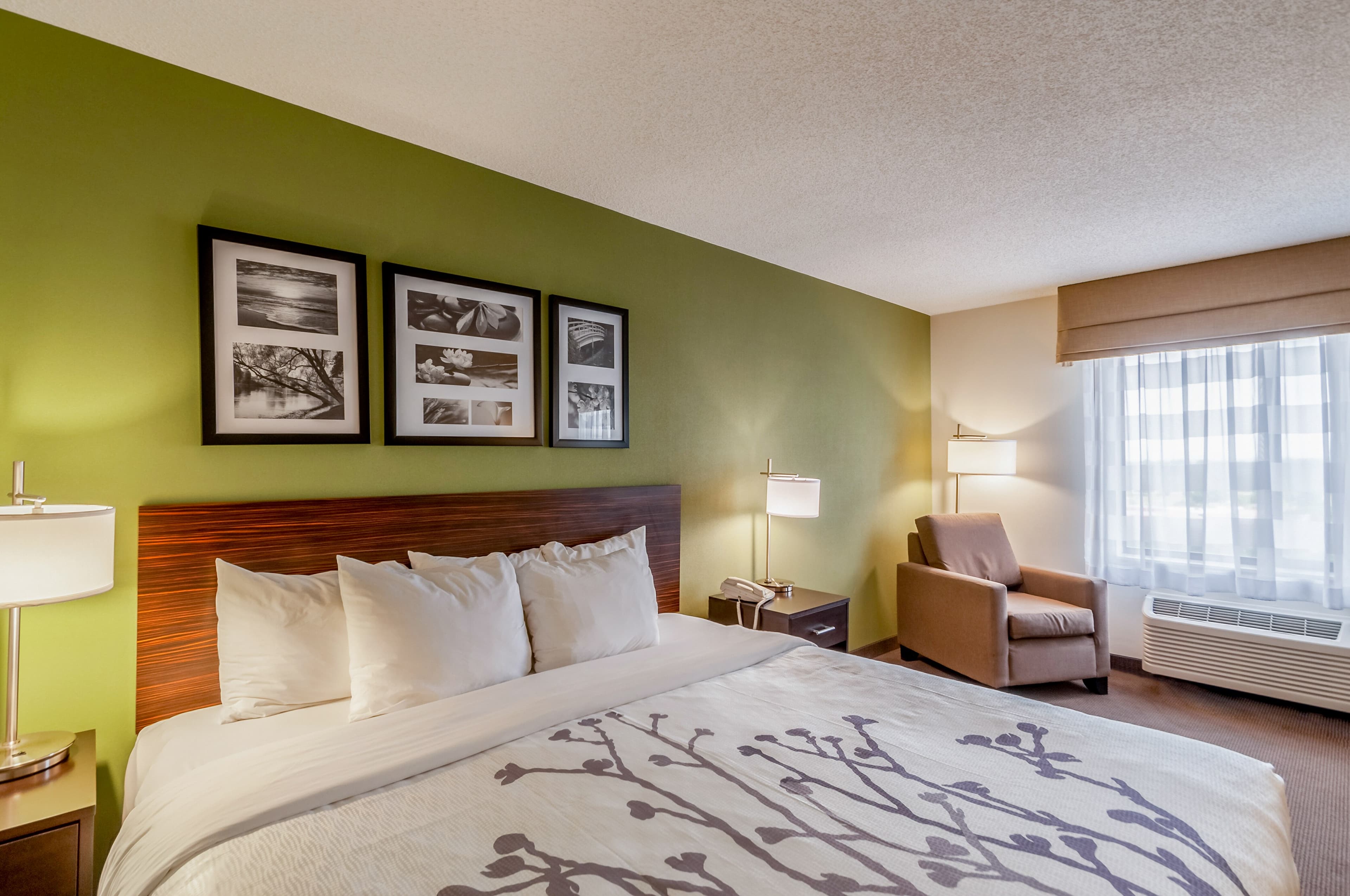 Sleep Inn & Suites Harrisonburg near University — 6