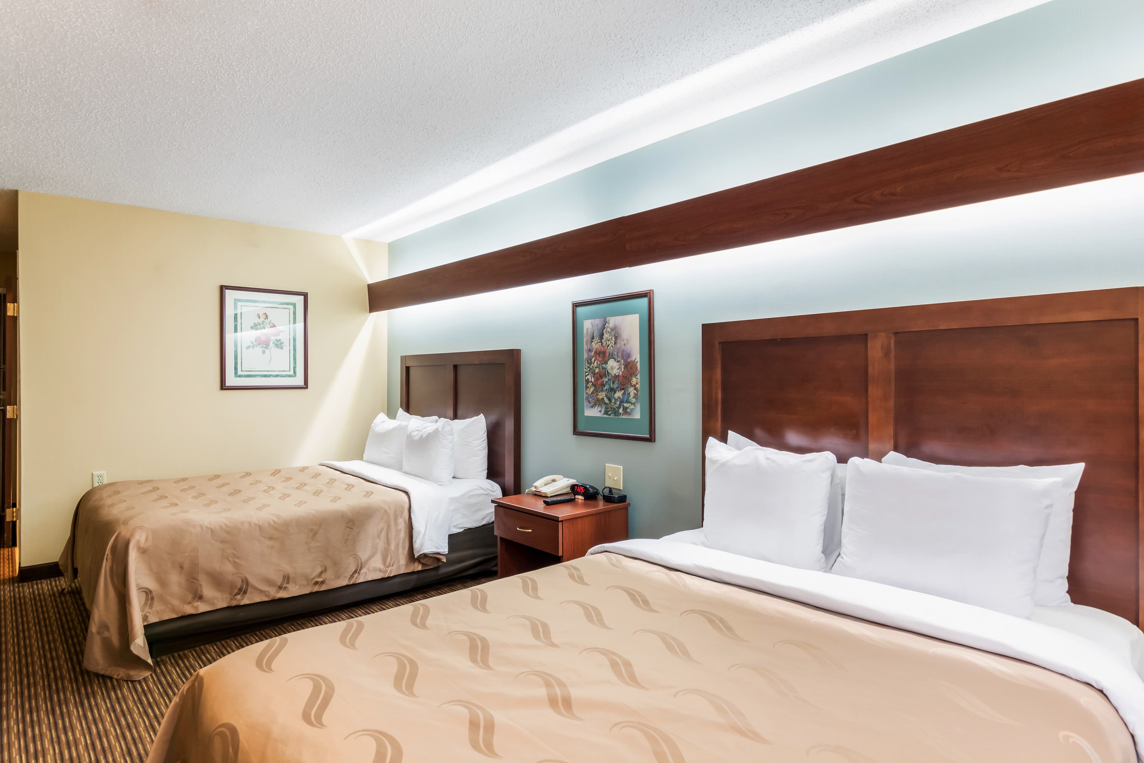 Quality Inn Chester - South Richmond - Image 4
