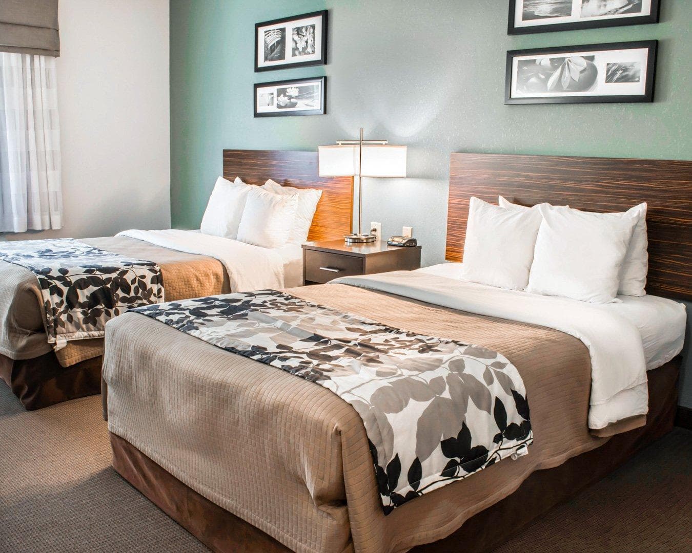 Sleep Inn & Suites Monticello — 7