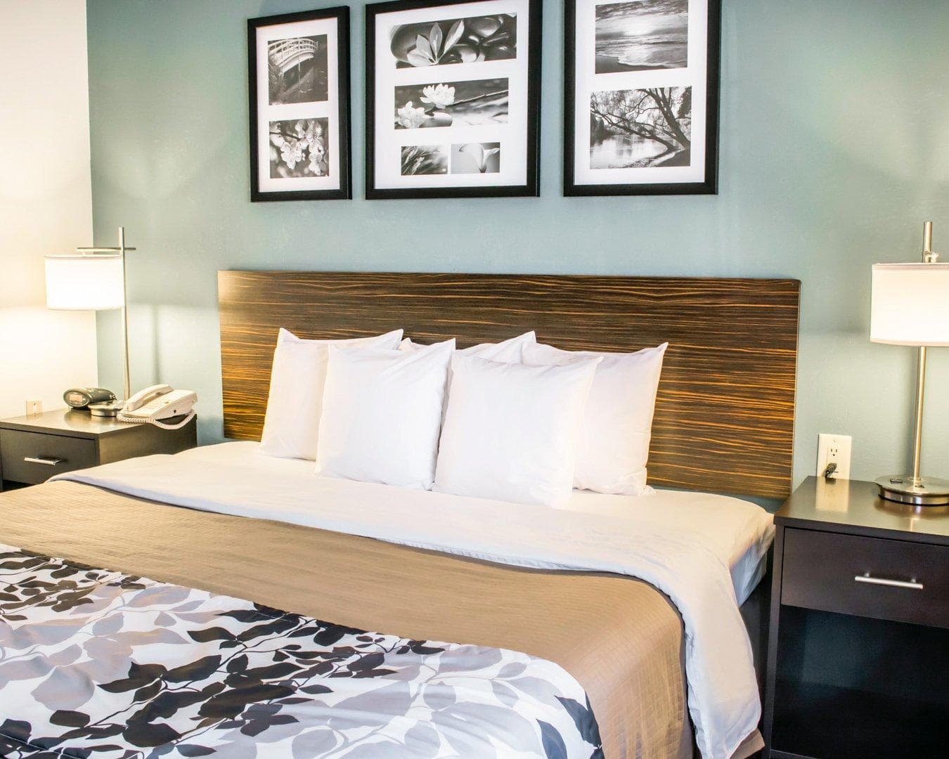 Sleep Inn & Suites Monticello — 16