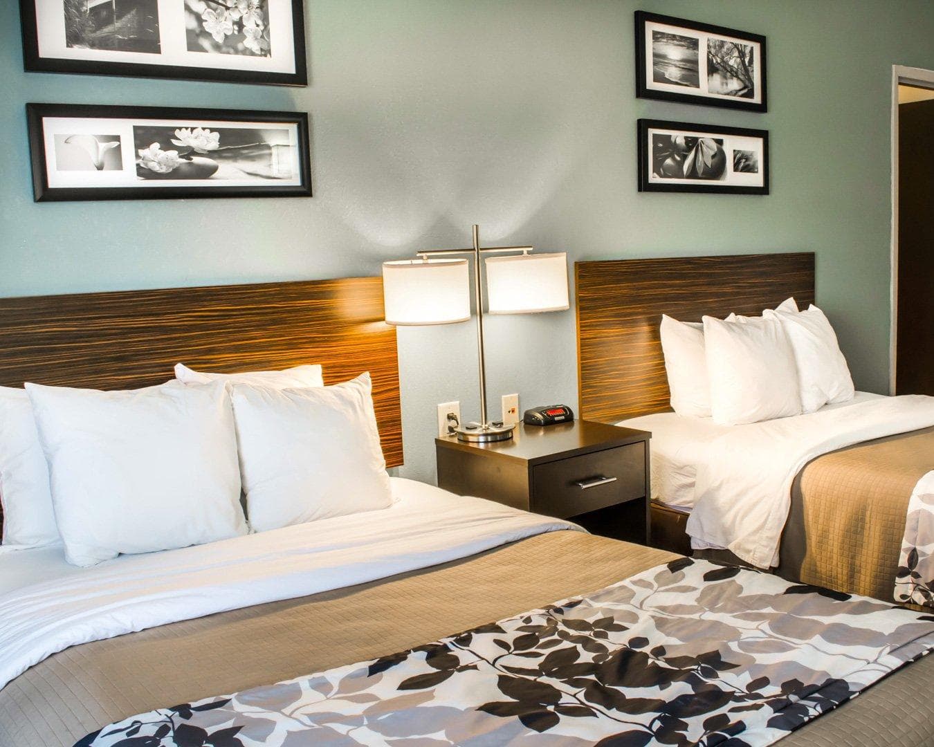 Sleep Inn & Suites Monticello — 9