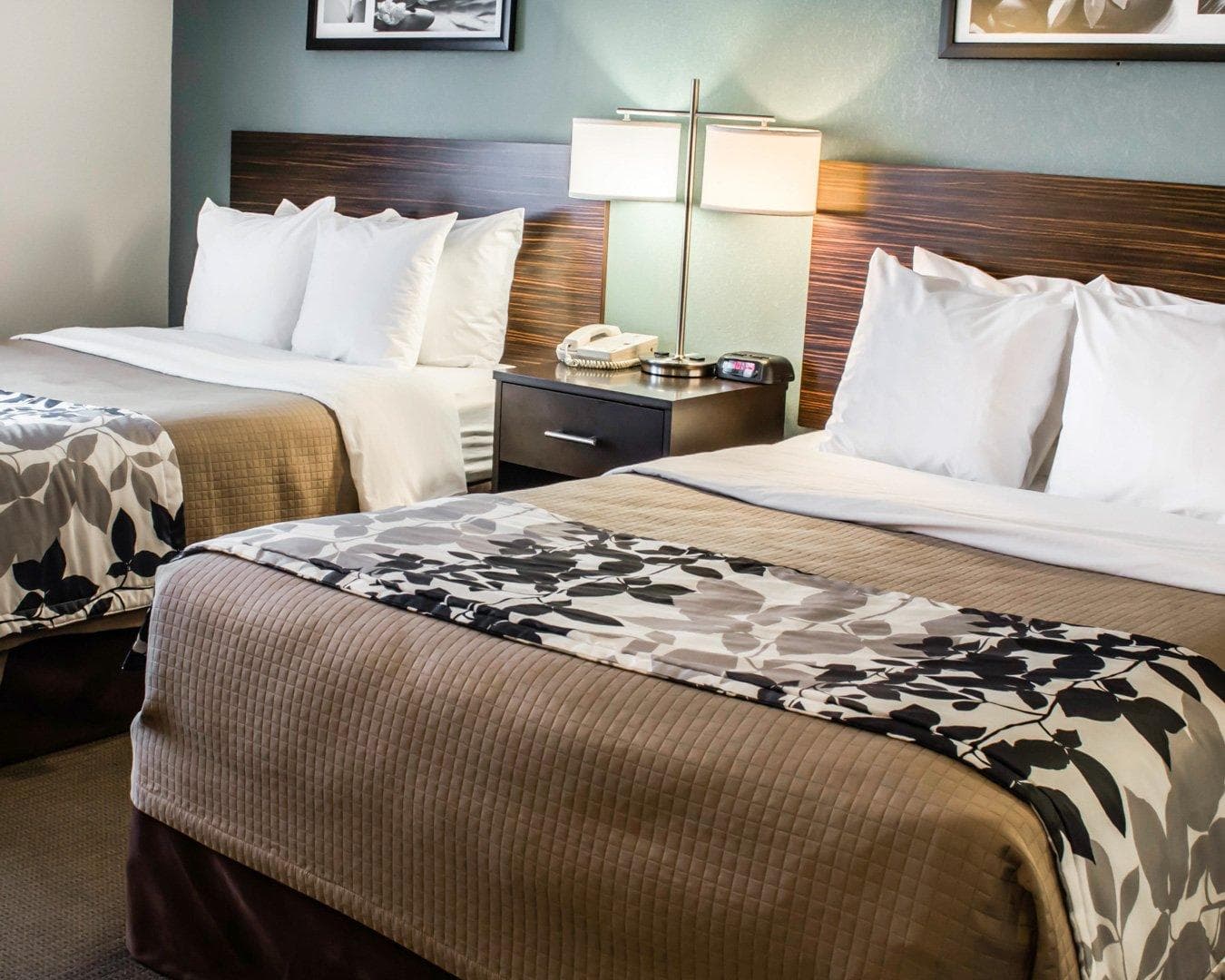 Sleep Inn & Suites Monticello — 10