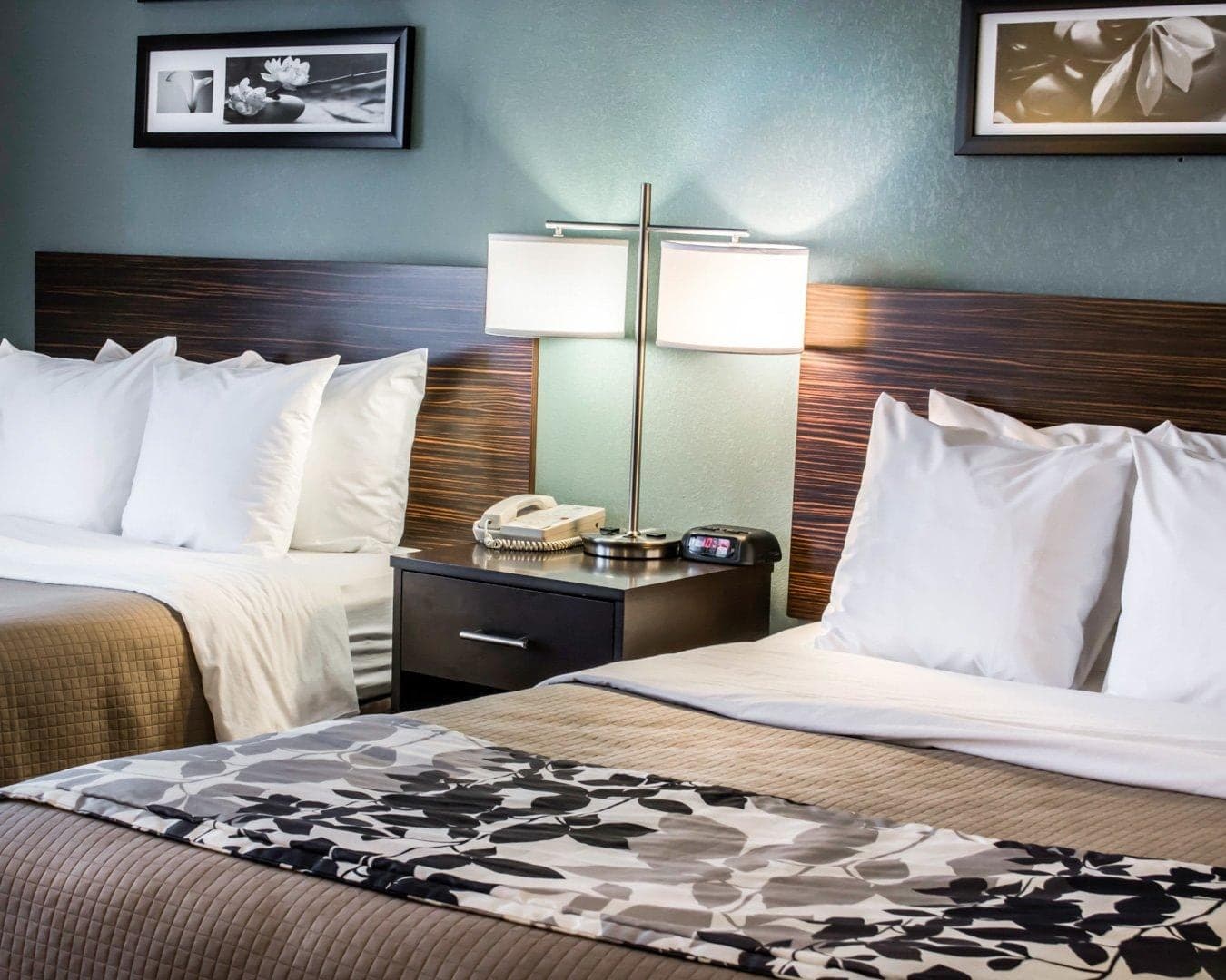 Sleep Inn & Suites Monticello — 12