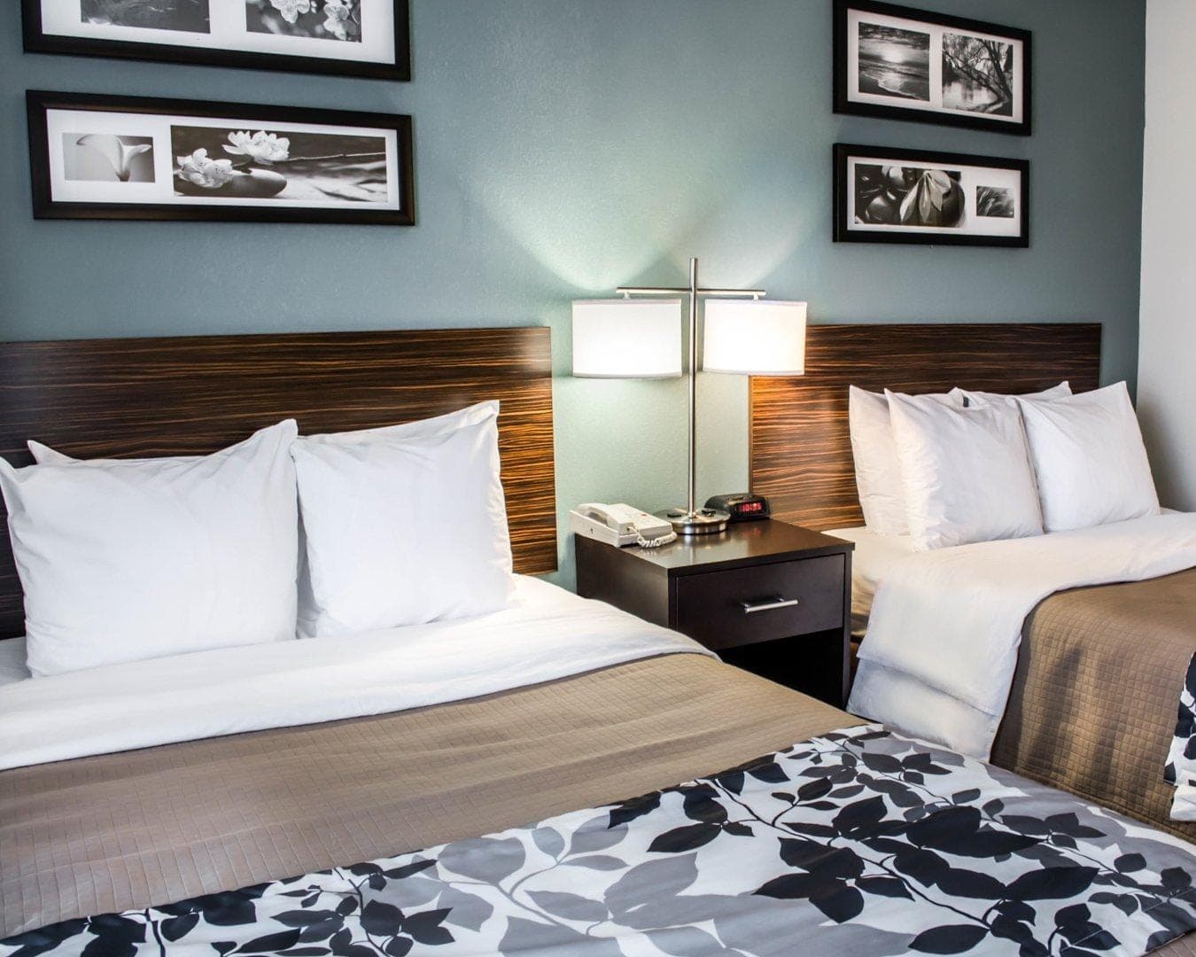Sleep Inn & Suites Monticello — 13