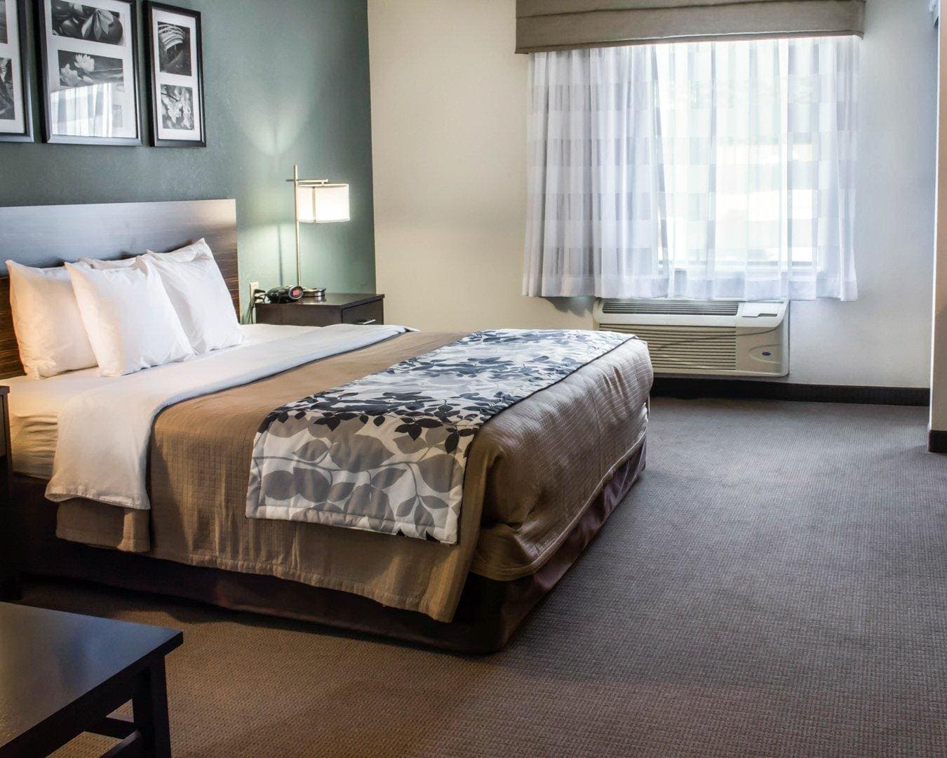 Sleep Inn & Suites Monticello — 28