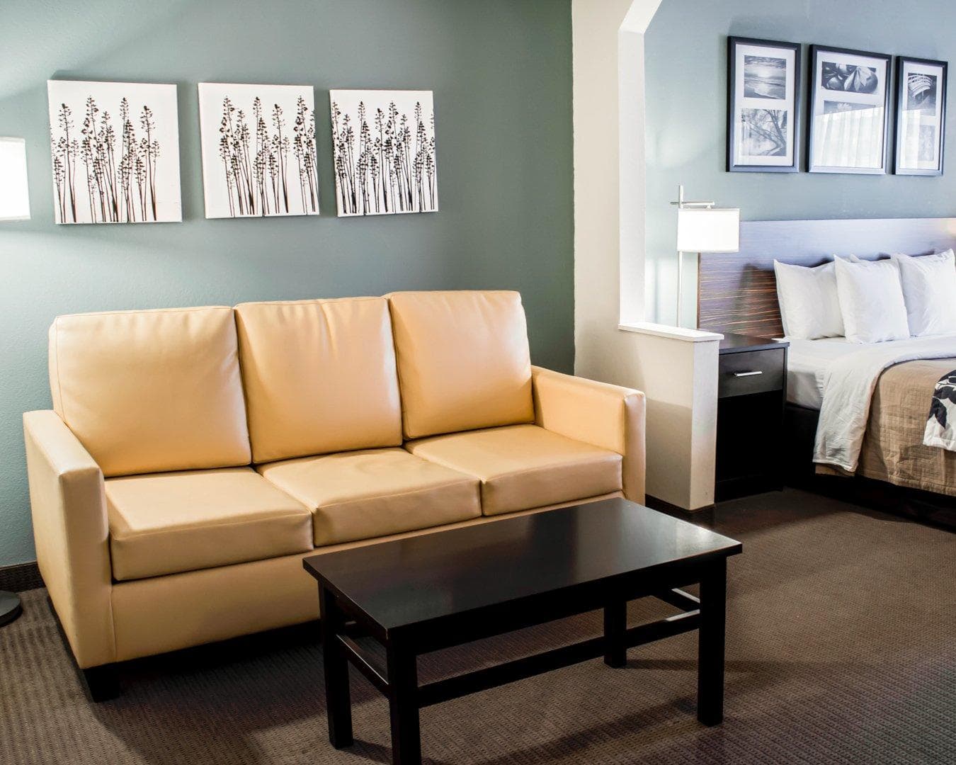 Sleep Inn & Suites Monticello — 24