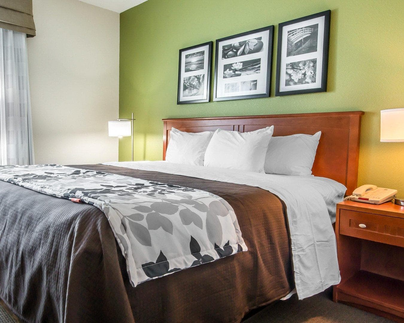 Sleep Inn & Suites Winchester near University - Image 1
