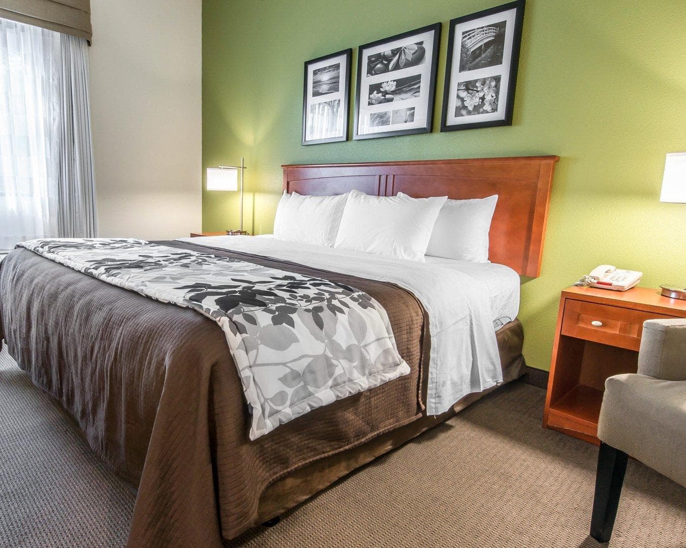 Sleep Inn & Suites Winchester near University — 11