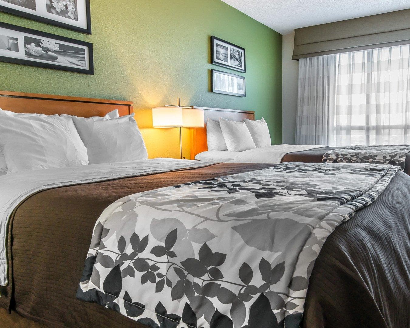 Sleep Inn & Suites Winchester near University — 22